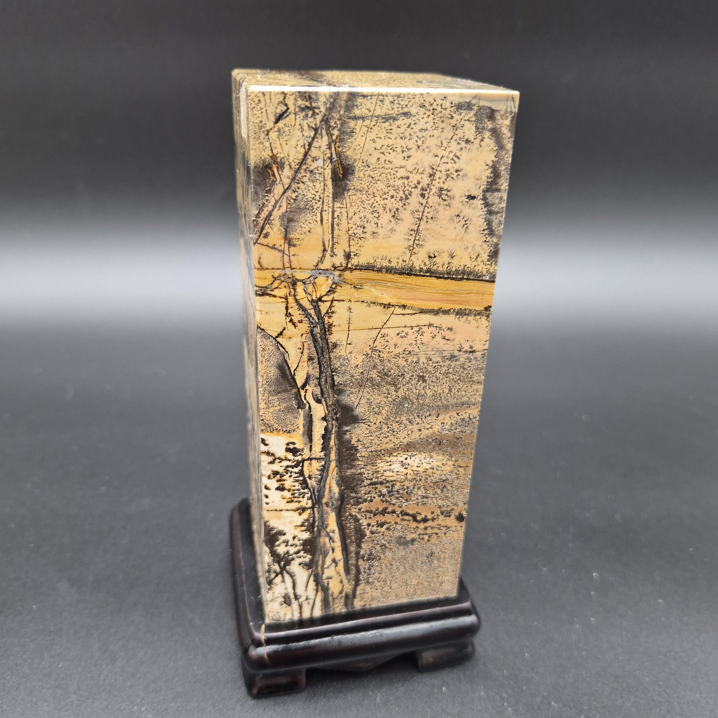 AAA+ Picture Jasper on Wood Base | Natural Scenic Stone Display | 3.37 lbs Crystal Hoarder