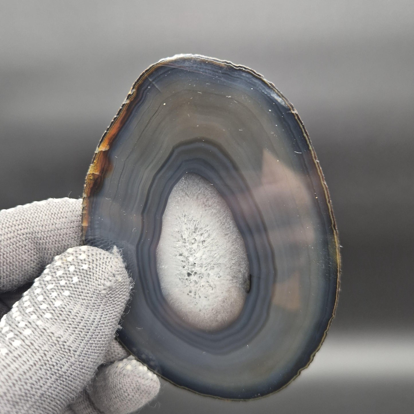 AAA+ Translucent Agate Slices with Quartz - Brazil | Set of 5 | 5x3in Natural Druzy | 1.04 lbs Crystal Hoarder