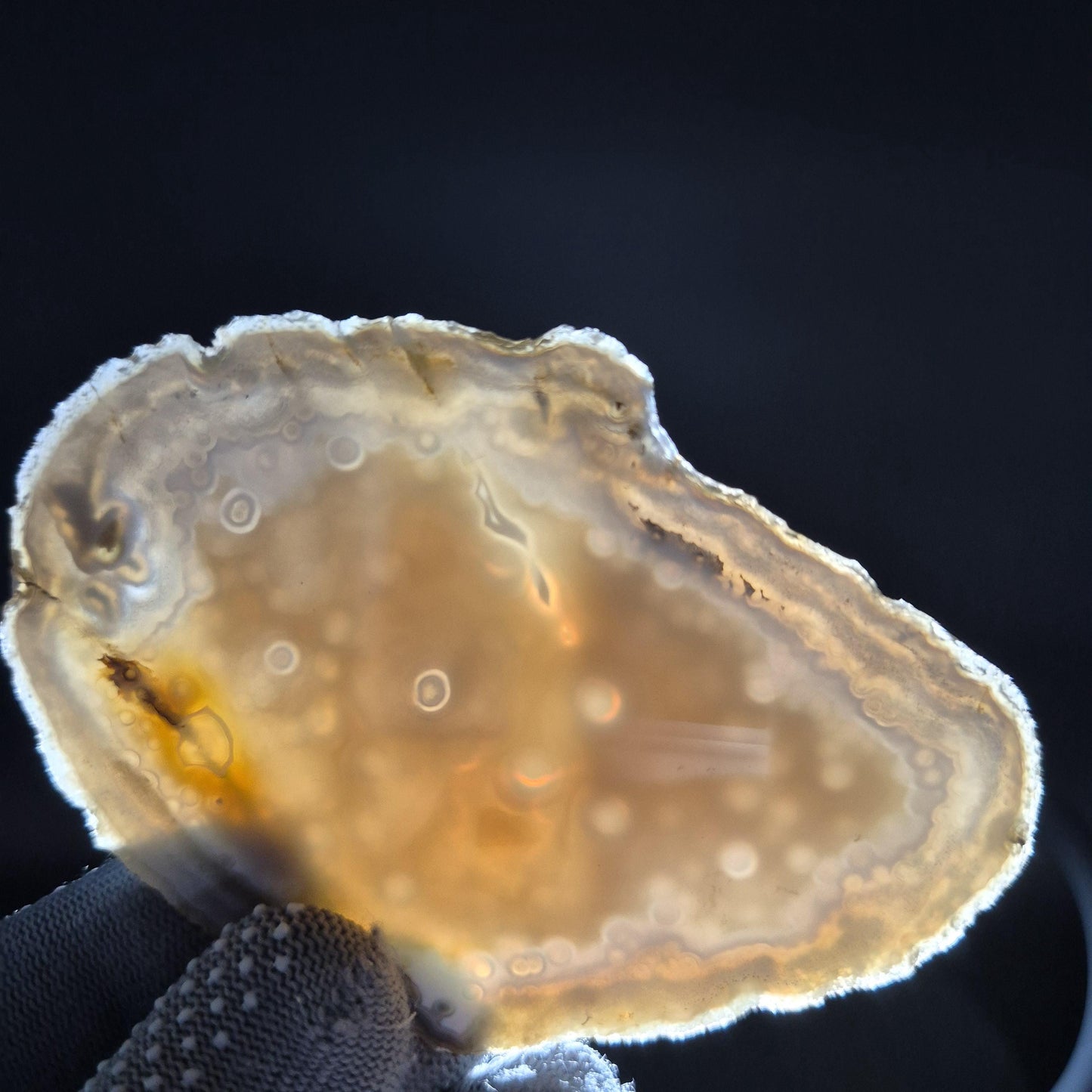 Natural Translucent Agate Slices - Set of 3 | 4in, 4.5in, 5in | Polished Quartz Crystal Decor | 0.55 lbs Crystal Hoarder