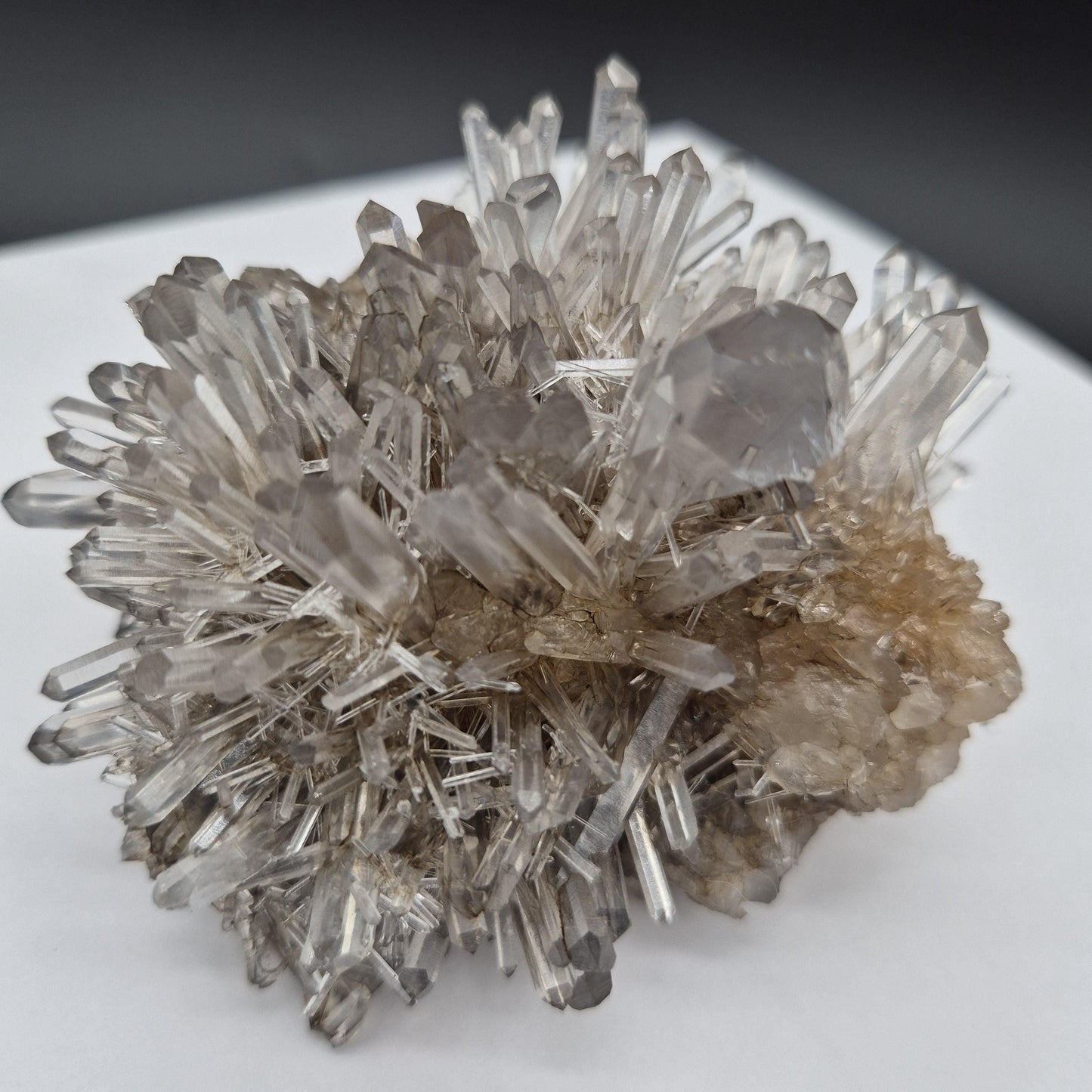 Rare AAA+ Temple Heart Starburst DOW Chrysanthemum Lemurian Quartz Cluster | Bolivar Mine Colombia | 1.28 lbs Crystal Hoarder