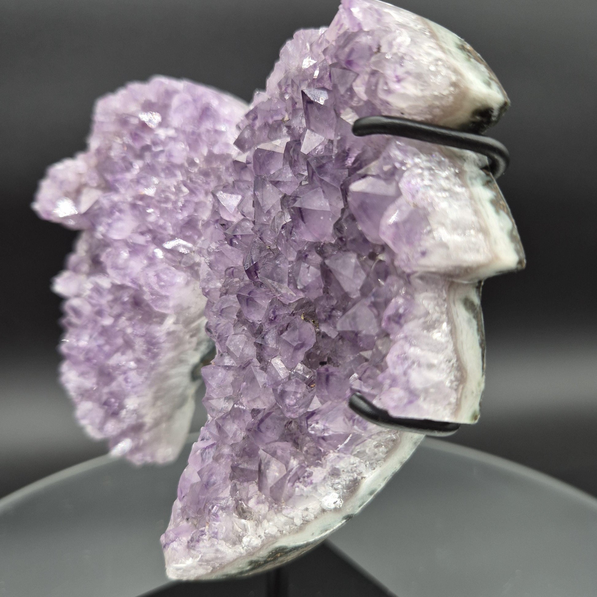 AAA+ Amethyst Angel Wings Brazil 7x6x2 1.92 lbs Crystal Hoarder
