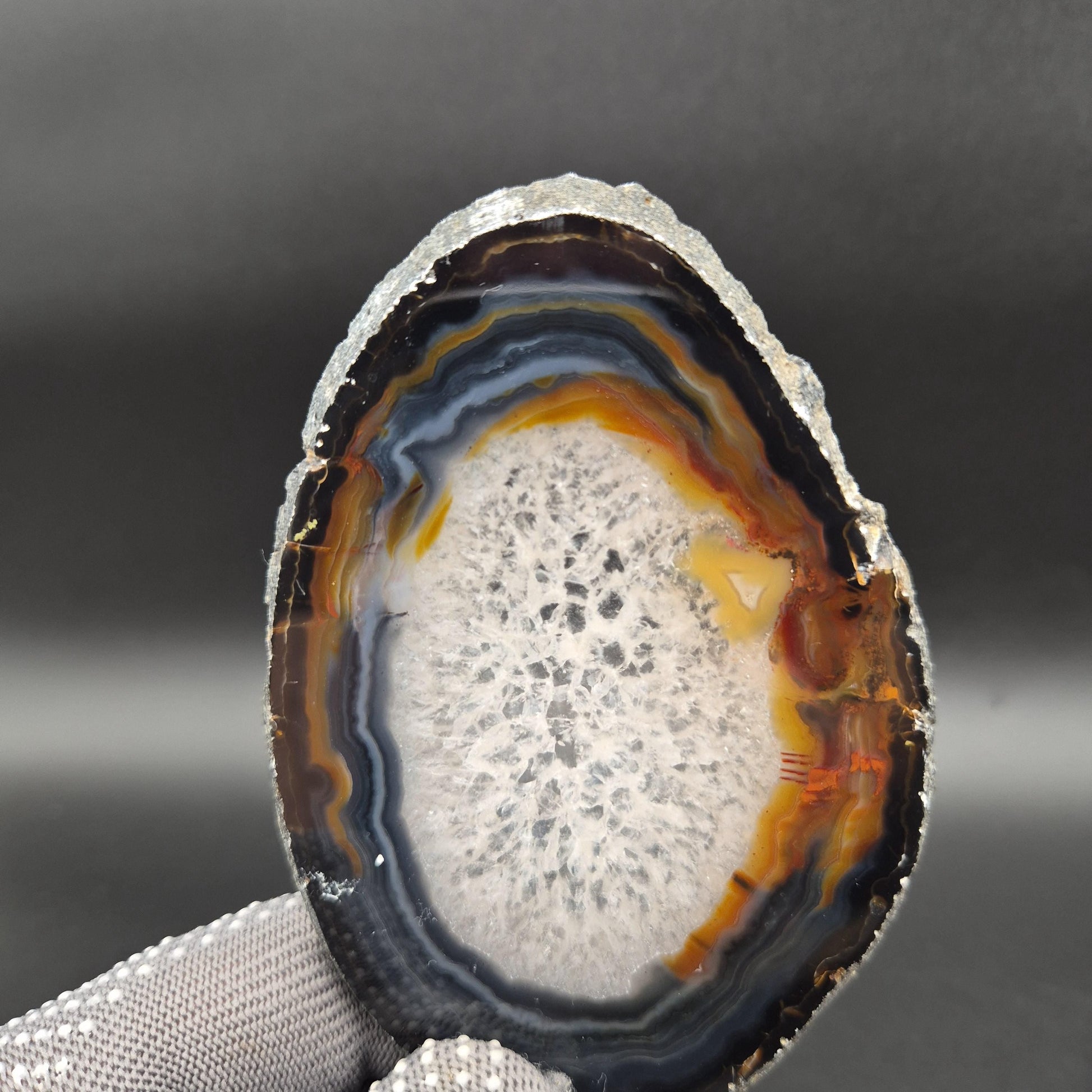 AAA+ Agate Slice Set of 9 | 4-6.5in Large Quartz Crystal Slices | 2.39 lbs Natural Banded Agate | Collector Grade Display Pieces Crystal Hoarder