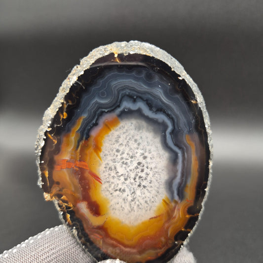 AAA+ Agate Slice Set of 9 | 4-6.5in Large Quartz Crystal Slices | 2.39 lbs Natural Banded Agate | Collector Grade Display Pieces Crystal Hoarder