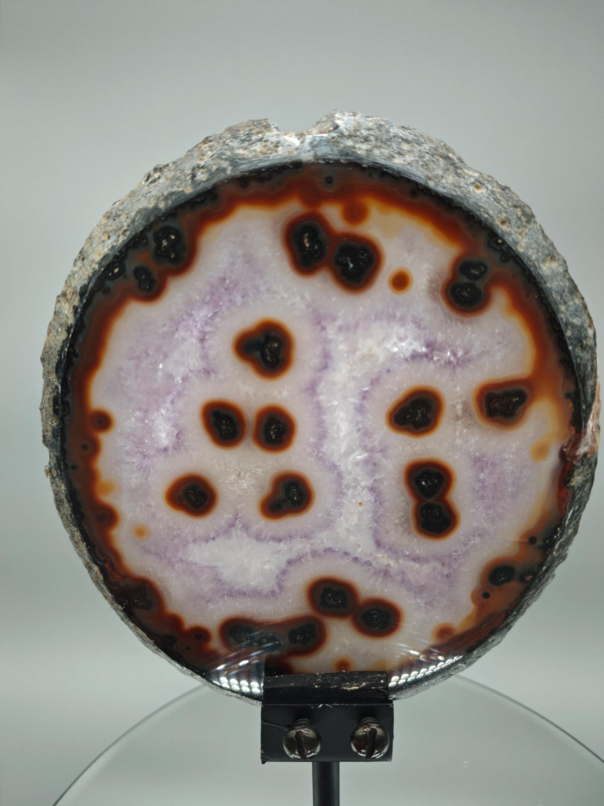 Rare Amethyst with Agate Slice & Stalactite Eyes - Backlit Brazilian Crystal Specimen - Unique Clear Formation - One of a Kind Crystal Hoarder