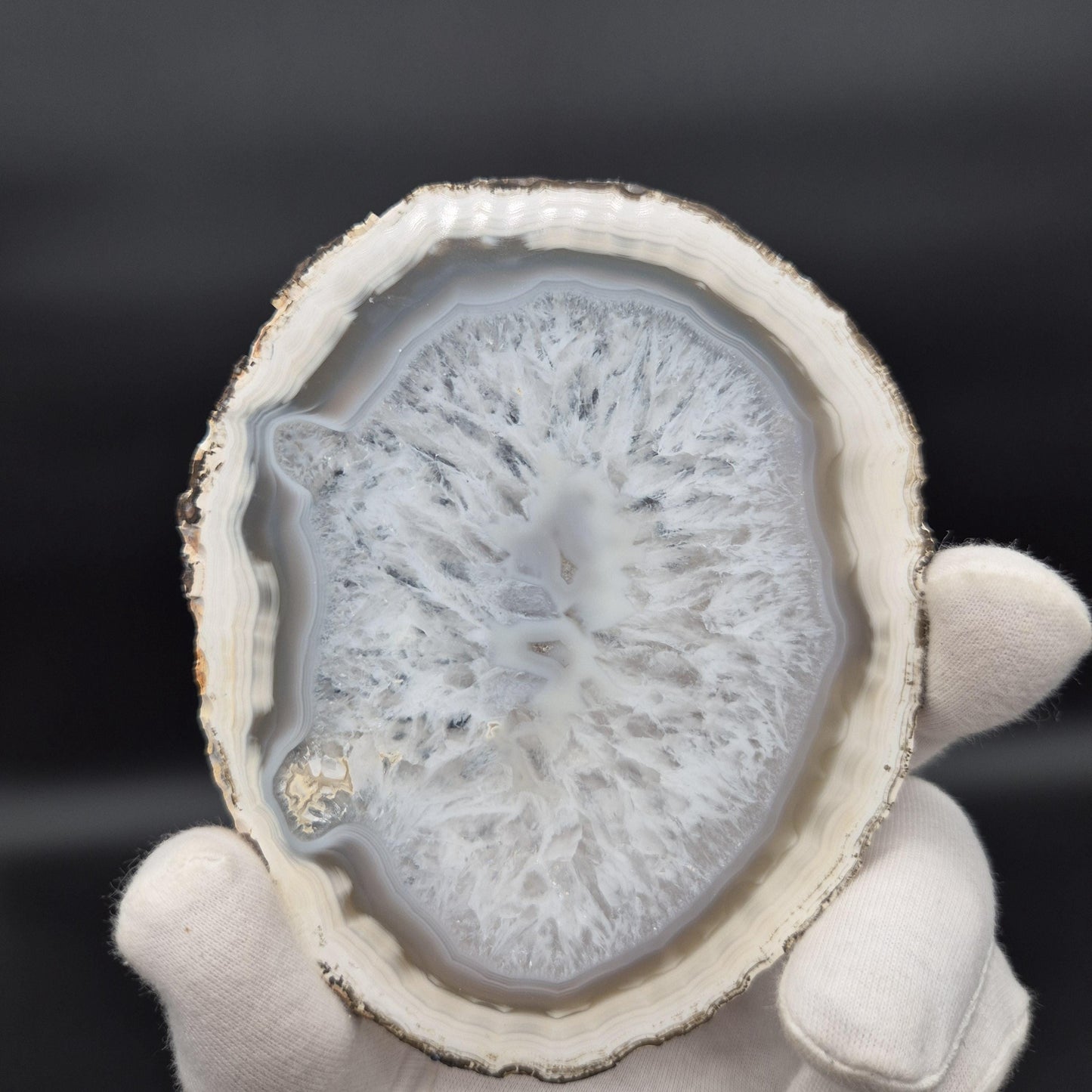 Set of 10 Agate Slices with Quartz | 2.43 lbs Total | 4in Natural Crystal Slices | Polished Gemstone Decor | Collector Grade Display Pieces Crystal Hoarder