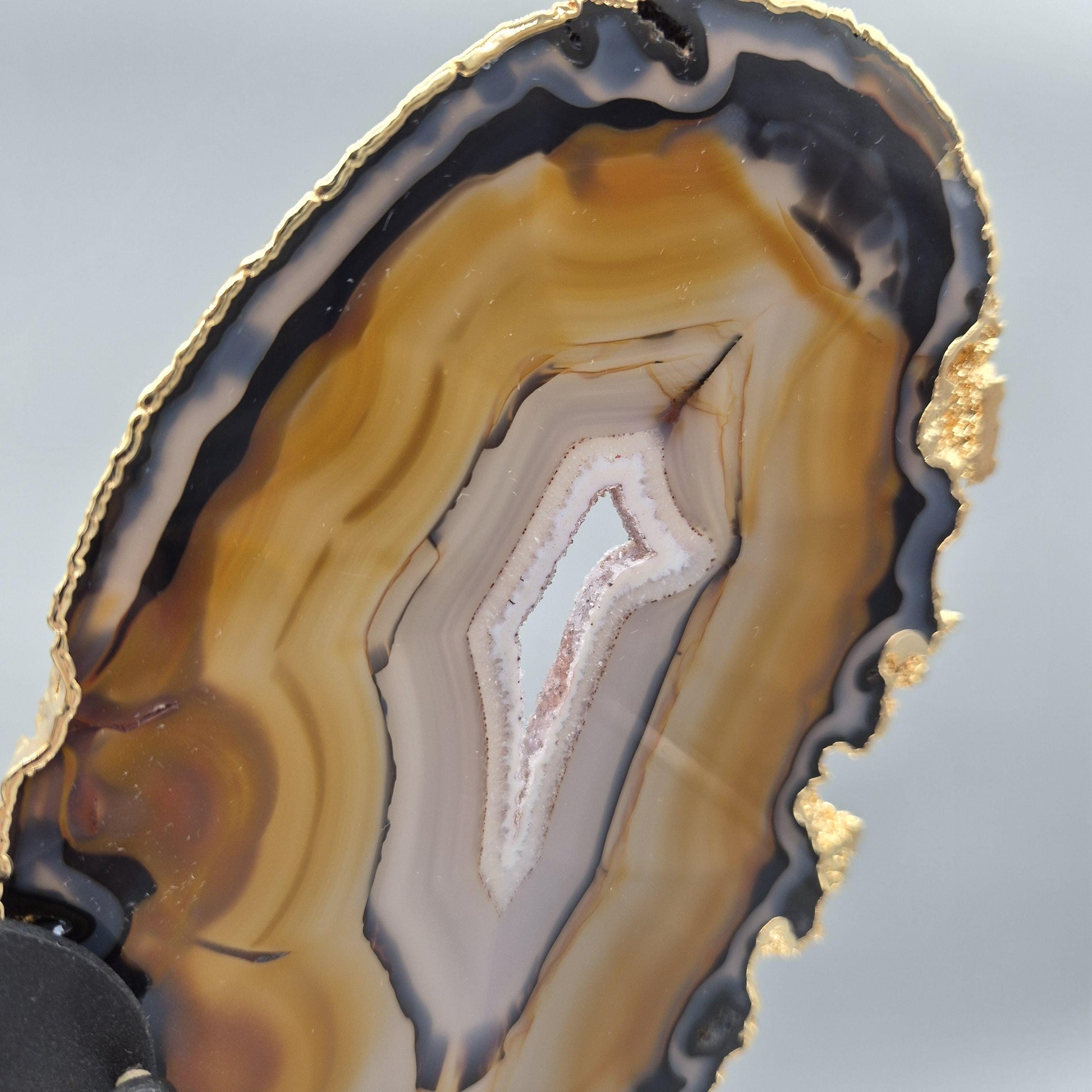 Super Rare Natural Agate Butterfly Wings with Gold Plating | Brazil Agate Sculpture | One of a Kind Crystal Display | Collector Specimen Crystal Hoarder