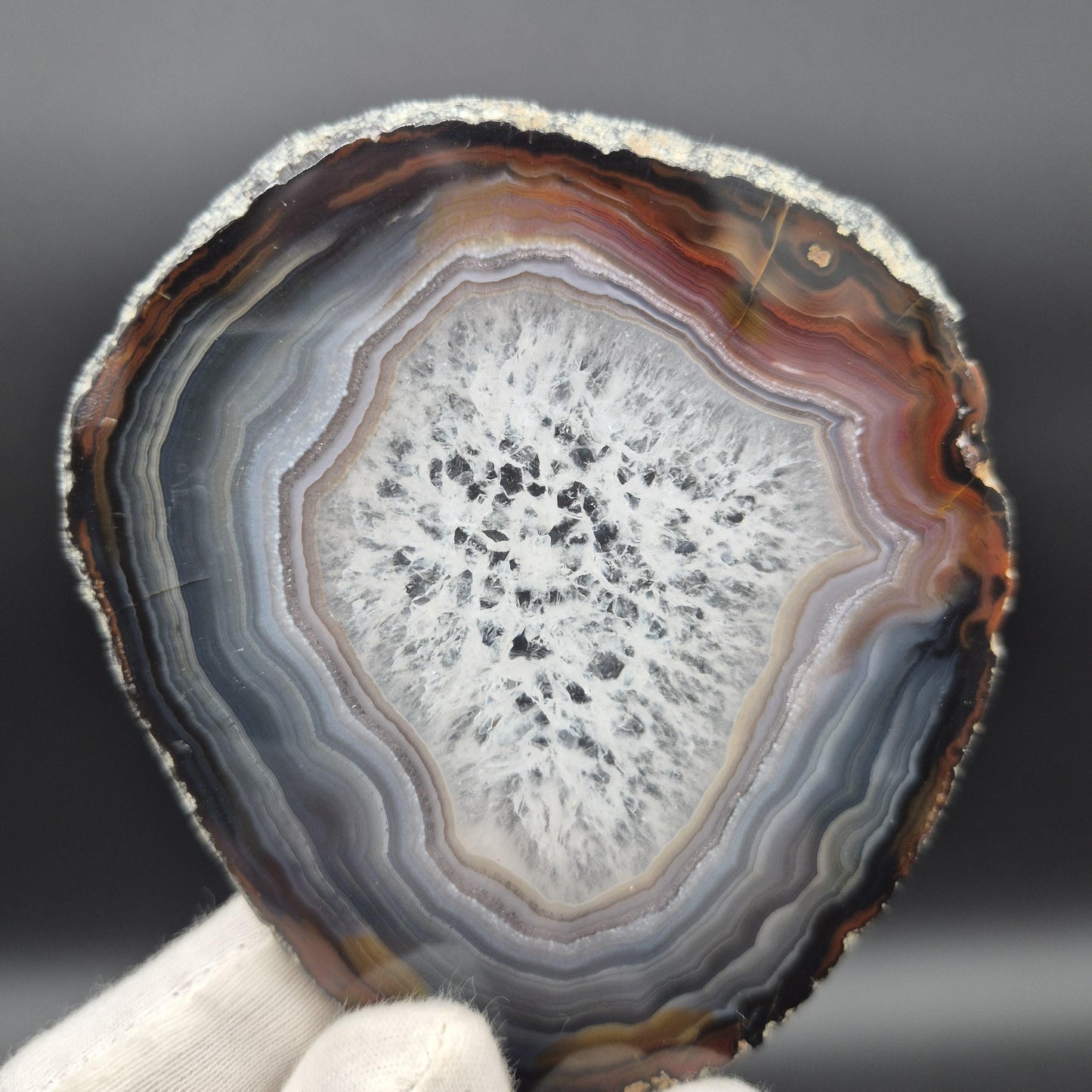 AAA+ Rare Agate Slice Set of 7 | 3.5-5in Large Quartz Crystal Centers | 2.44 lbs Natural Banded Agate | Collector Grade Statement Pieces Crystal Hoarder