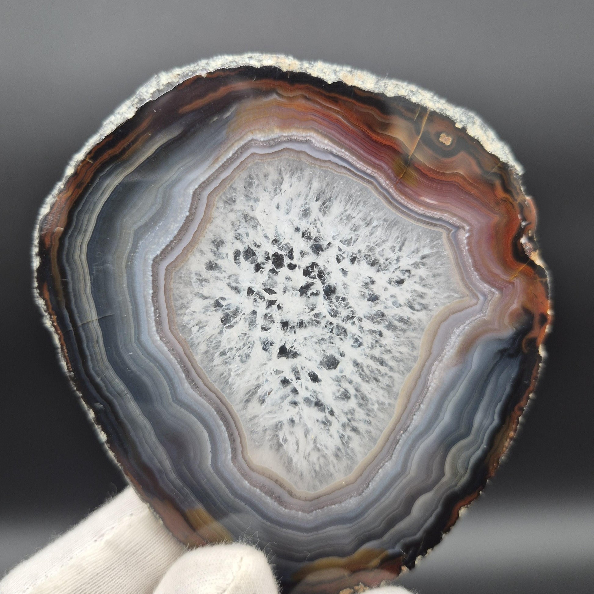 AAA+ Rare Agate Slice Set of 7 | 3.5-5in Large Quartz Crystal Centers | 2.44 lbs Natural Banded Agate | Collector Grade Statement Pieces Crystal Hoarder