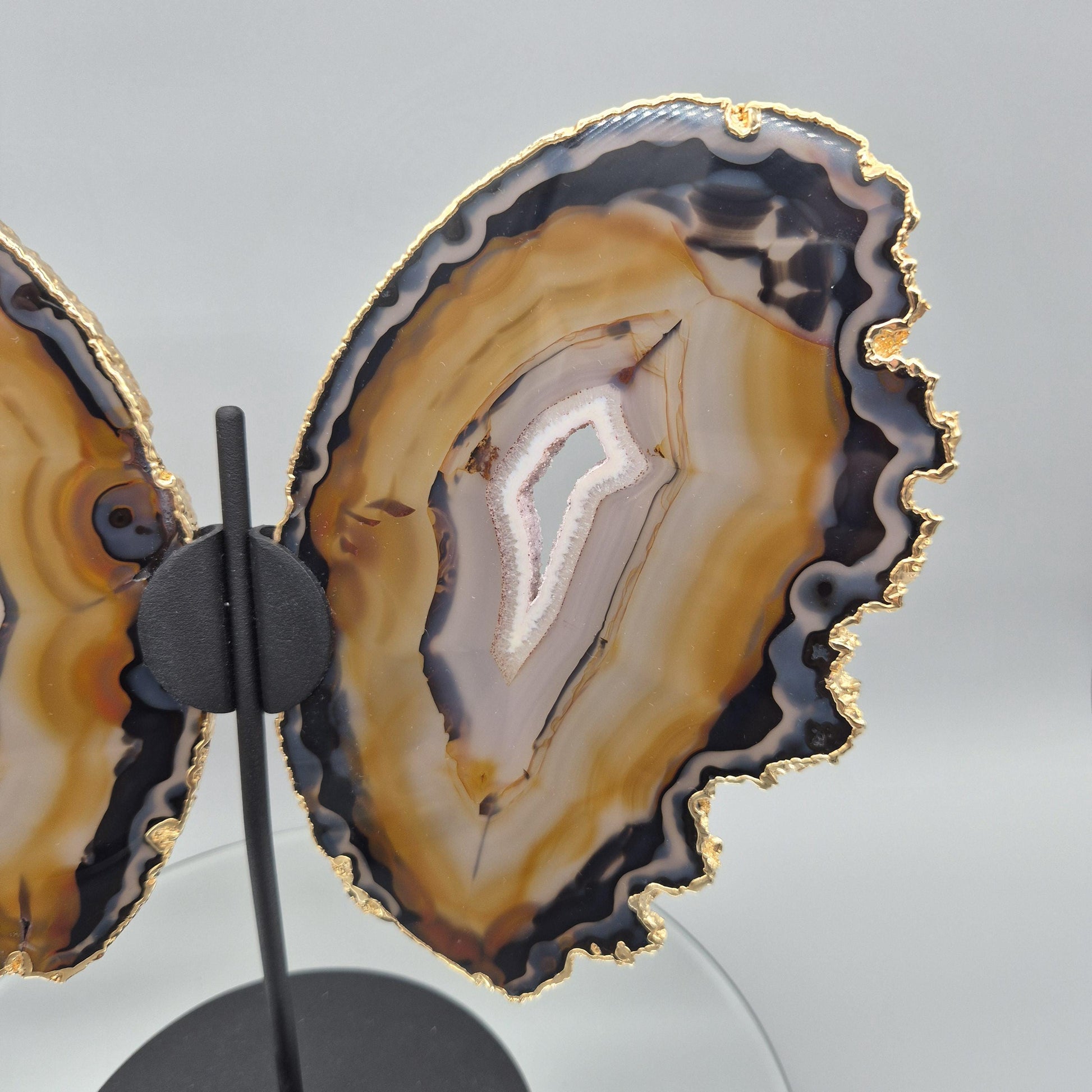 Super Rare Natural Agate Butterfly Wings with Gold Plating | Brazil Agate Sculpture | One of a Kind Crystal Display | Collector Specimen Crystal Hoarder