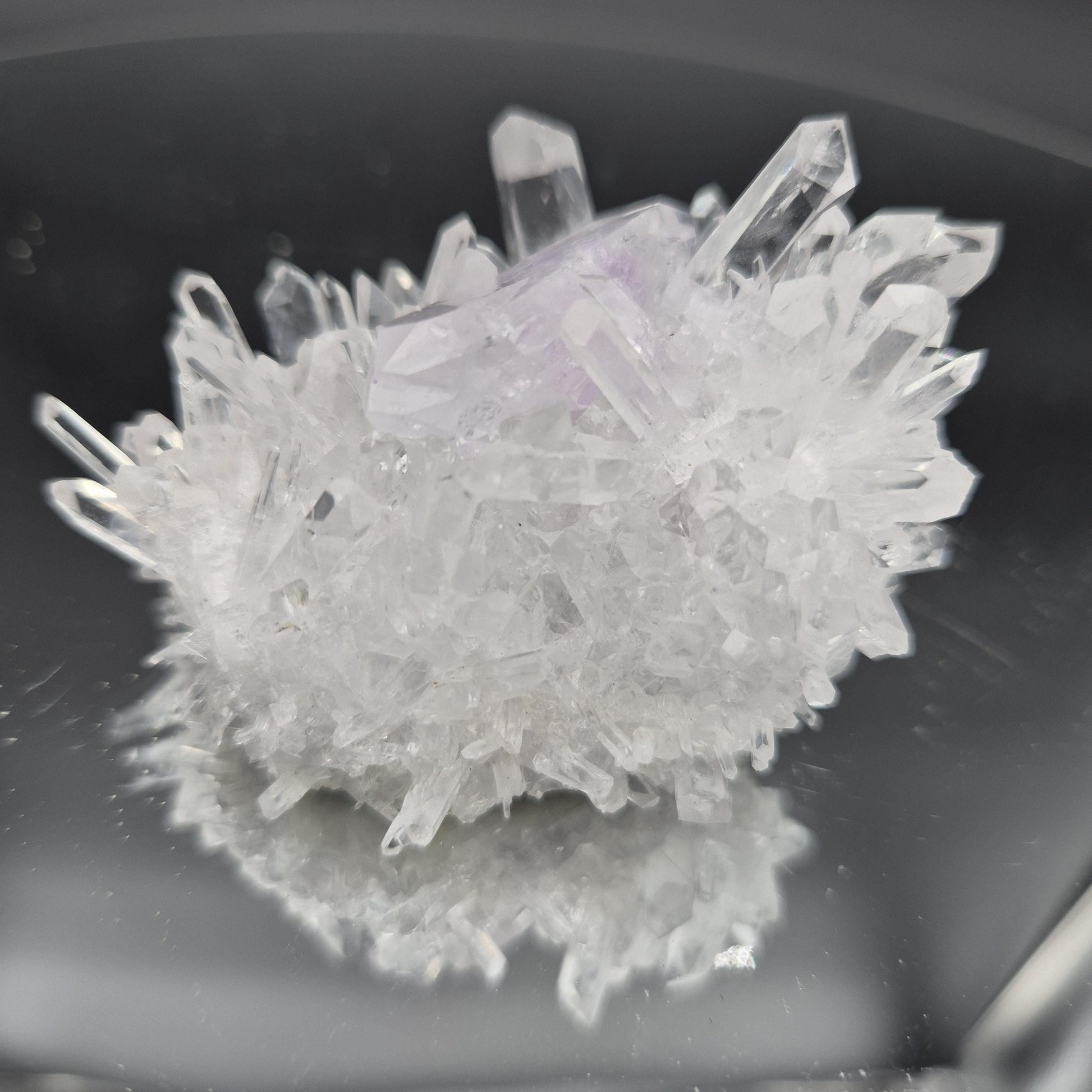 Rare AAA+ Double Terminated Phantom Amethyst Chrysanthemum Crystal Cluster | Natural Quartz Specimen | 4 oz Crystal Hoarder