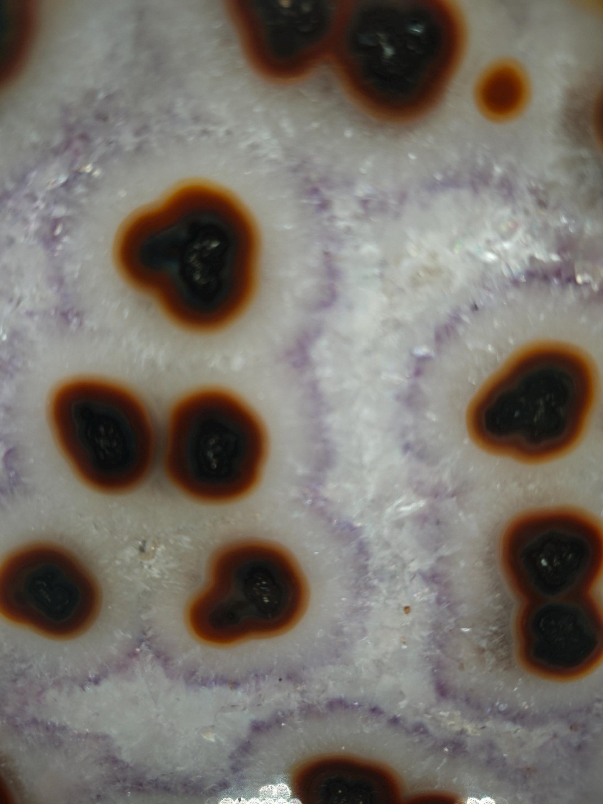 Rare Amethyst with Agate Slice & Stalactite Eyes - Backlit Brazilian Crystal Specimen - Unique Clear Formation - One of a Kind Crystal Hoarder
