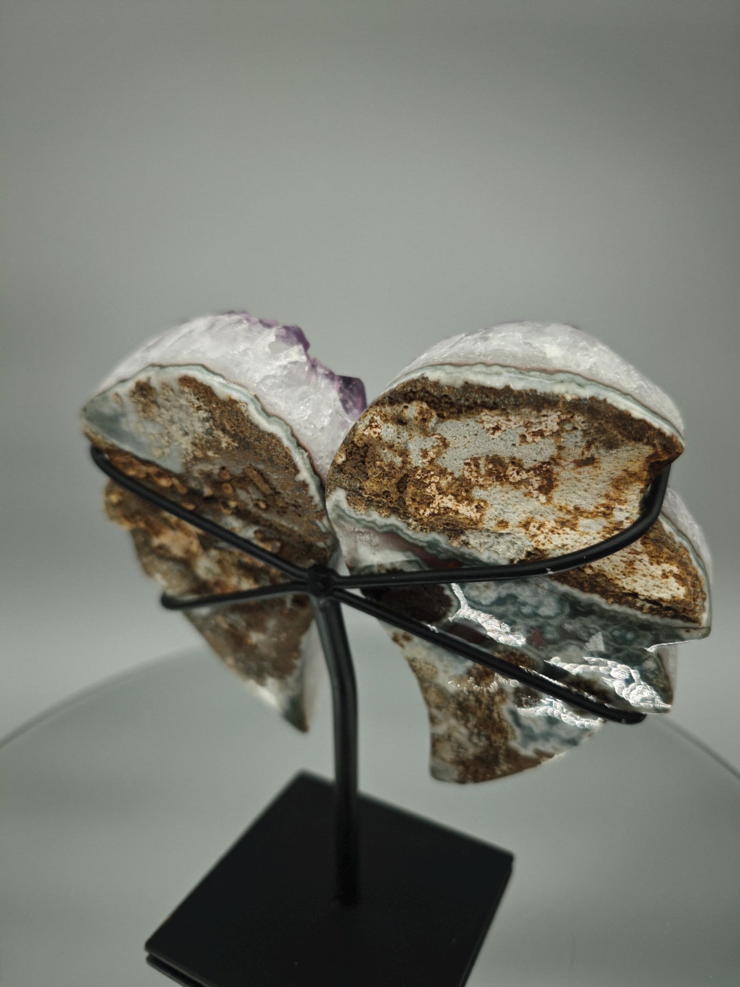 AAA+ Amethyst Angel Wings - Large Crystal Points - Brazilian Amethyst Display - 7in Tall Natural Crystal - 2.42 lbs Crystal Hoarder