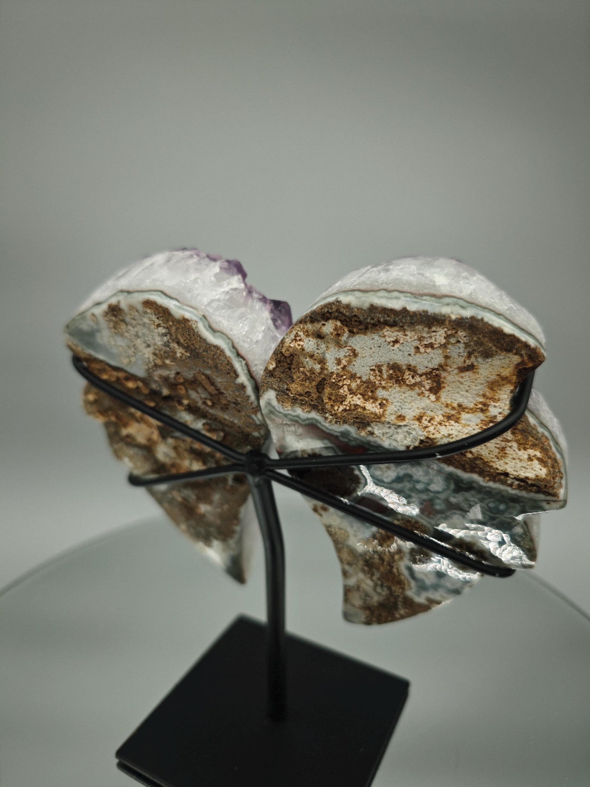 AAA+ Amethyst Angel Wings - Large Crystal Points - Brazilian Amethyst Display - 7in Tall Natural Crystal - 2.42 lbs Crystal Hoarder