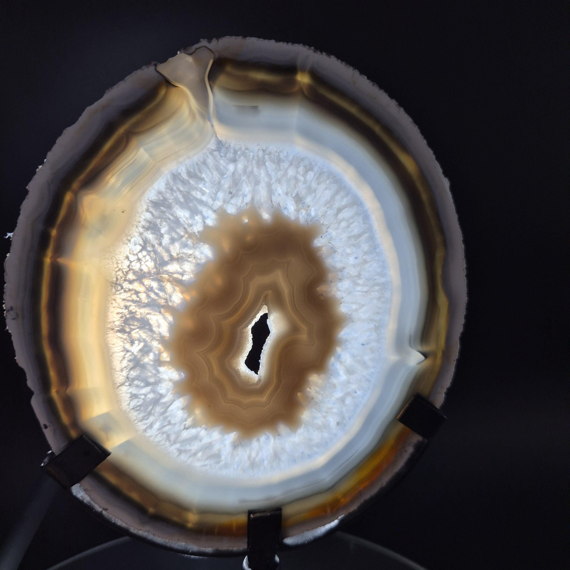 AAA+ Super Rare White and Dark Blue Agate with Druzy Quartz on Stand Brazil Crystal Hoarder