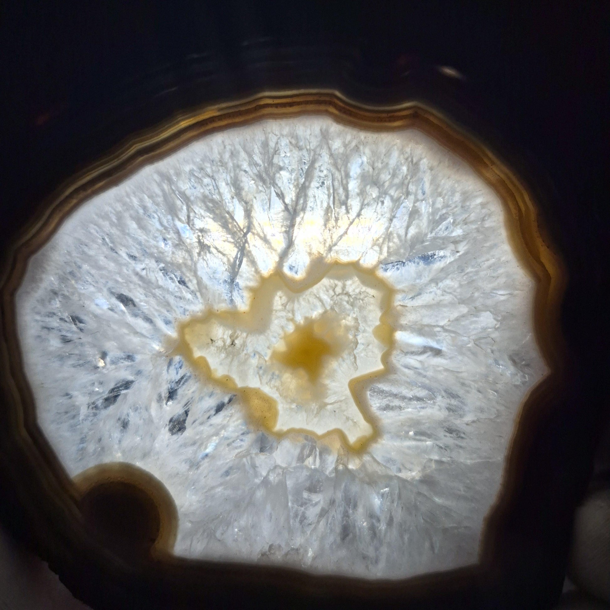AAA+ Rare Agate Slice Set of 7 | 3.5-5in Large Quartz Crystal Centers | 2.44 lbs Natural Banded Agate | Collector Grade Statement Pieces Crystal Hoarder