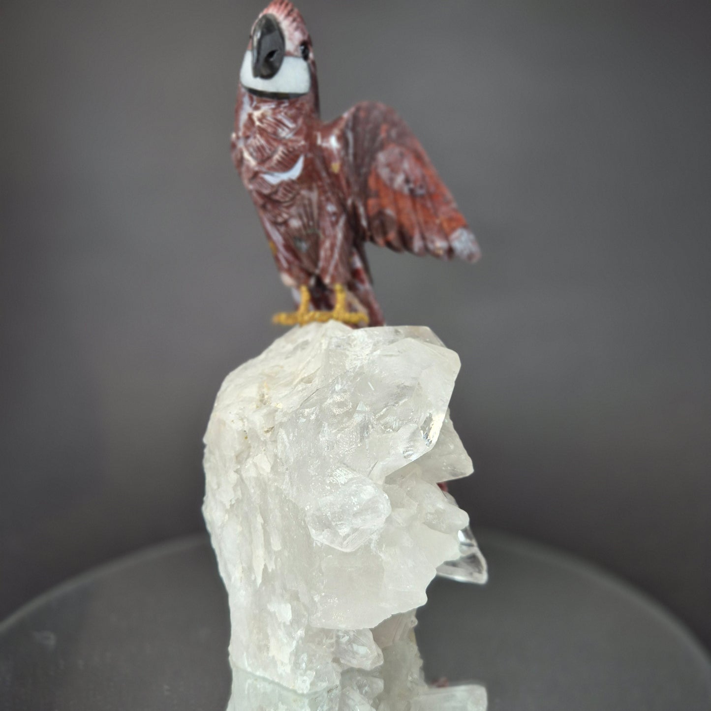 Jasper Parrot on Clear Quartz Cluster Crystal Hoarder