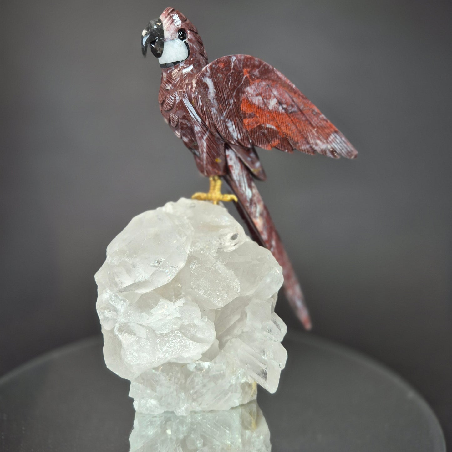Jasper Parrot on Clear Quartz Cluster Crystal Hoarder