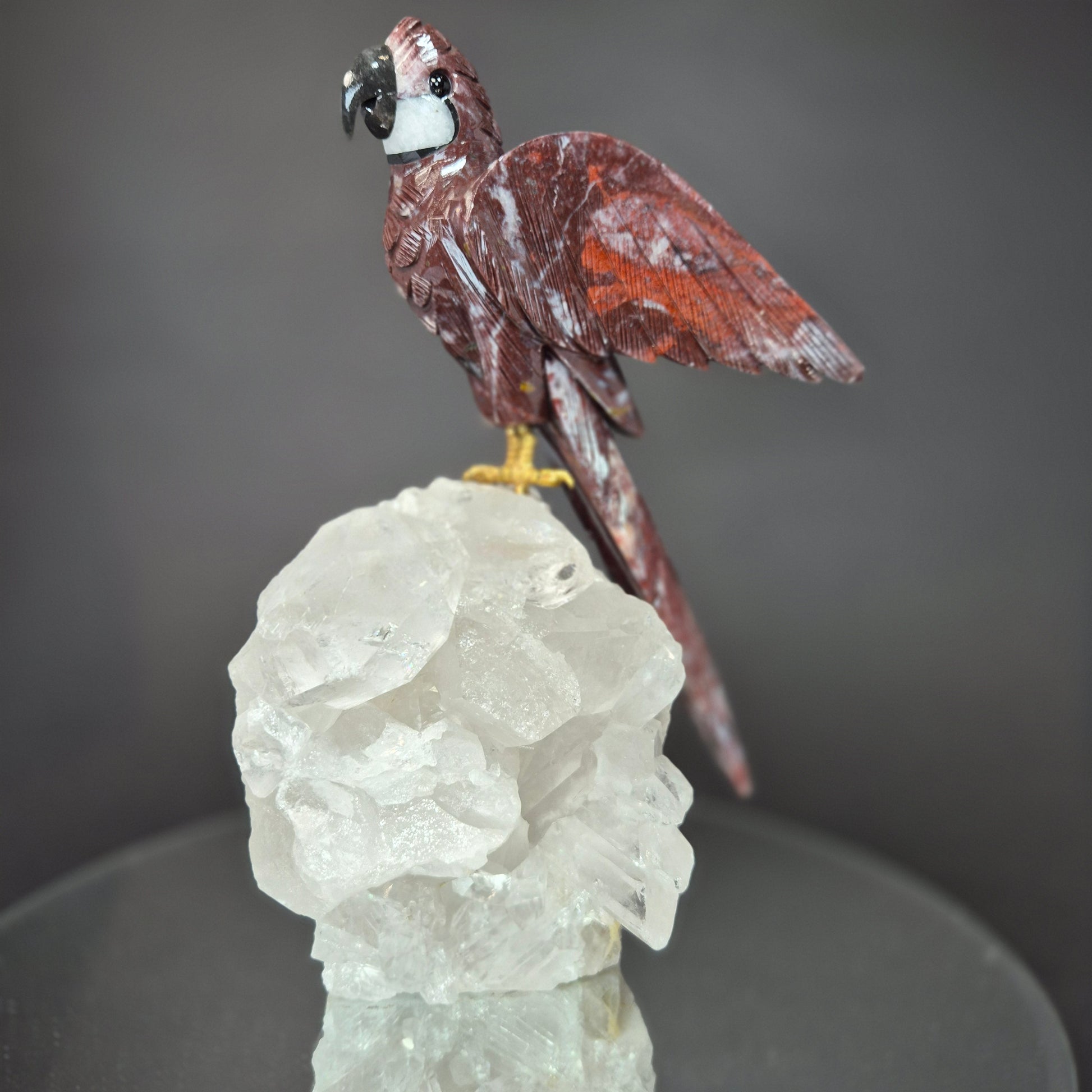 Jasper Parrot on Clear Quartz Cluster Crystal Hoarder