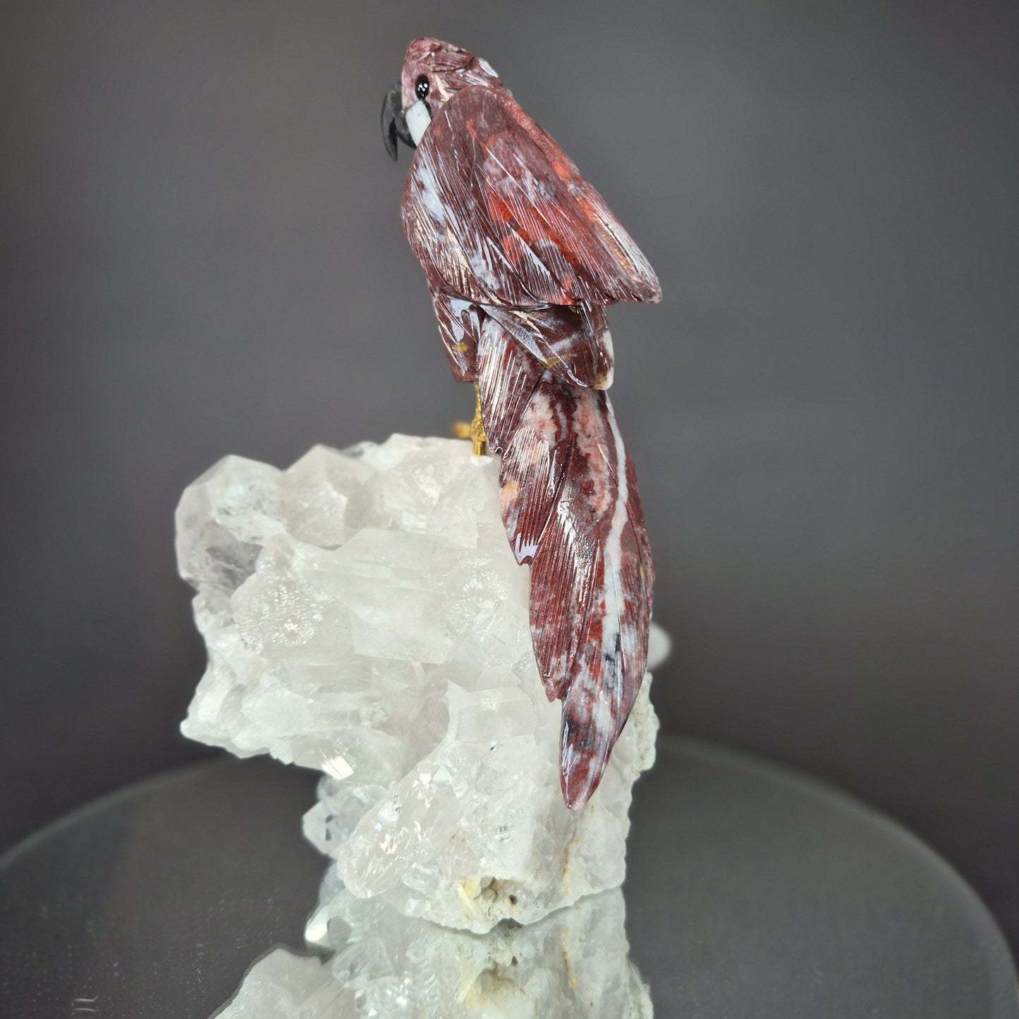 Jasper Parrot on Clear Quartz Cluster Crystal Hoarder