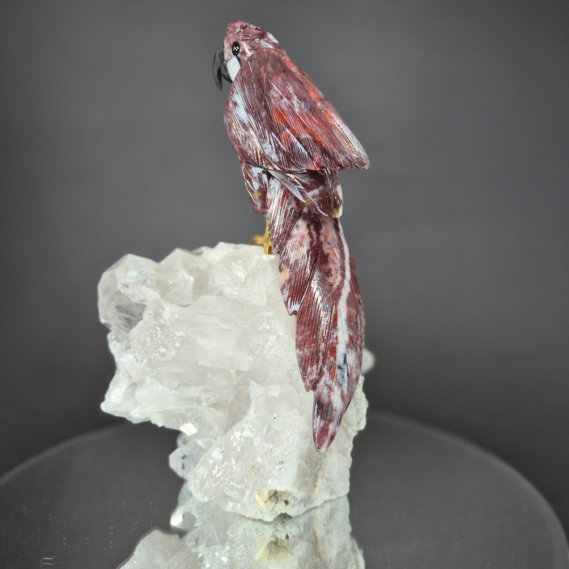 Jasper Parrot on Clear Quartz Cluster Crystal Hoarder