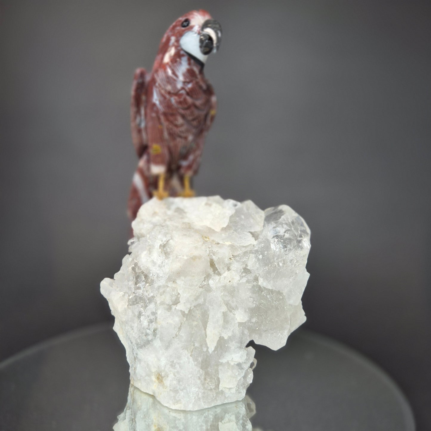 Jasper Parrot on Clear Quartz Cluster Crystal Hoarder