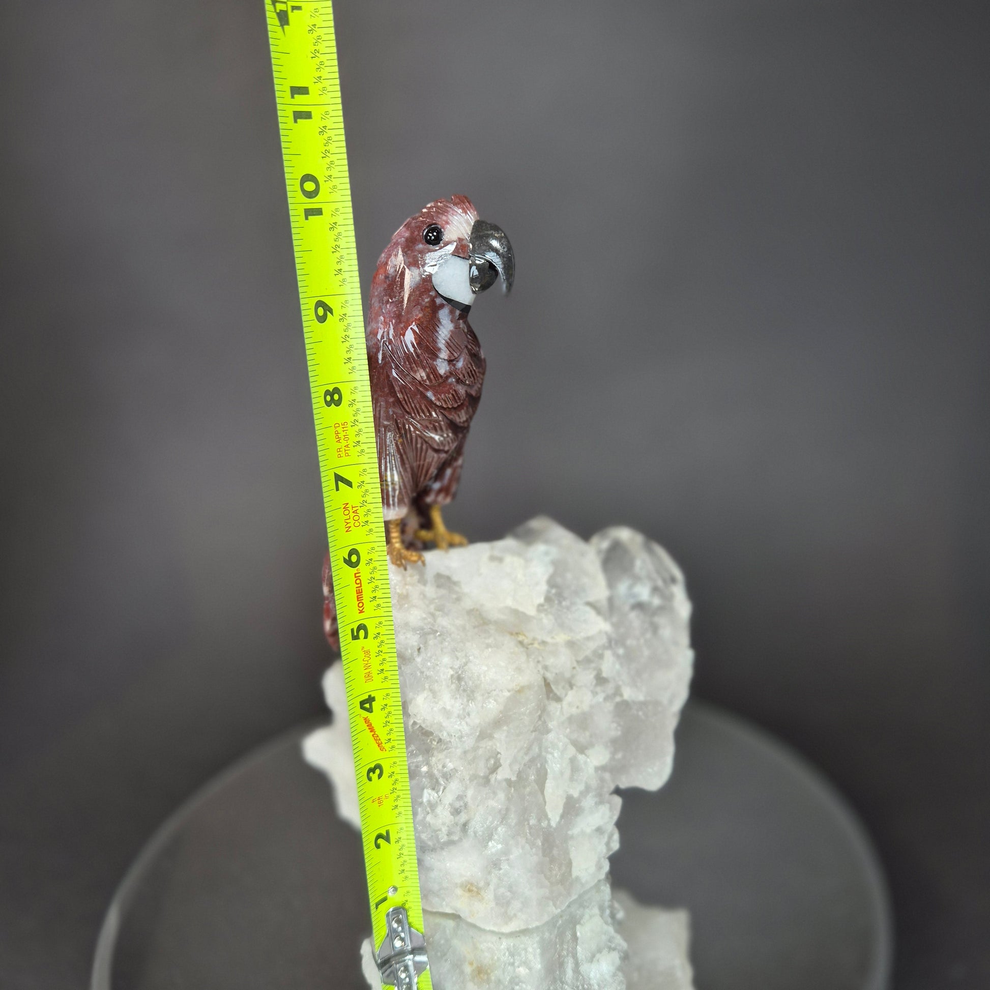 Jasper Parrot on Clear Quartz Cluster Crystal Hoarder