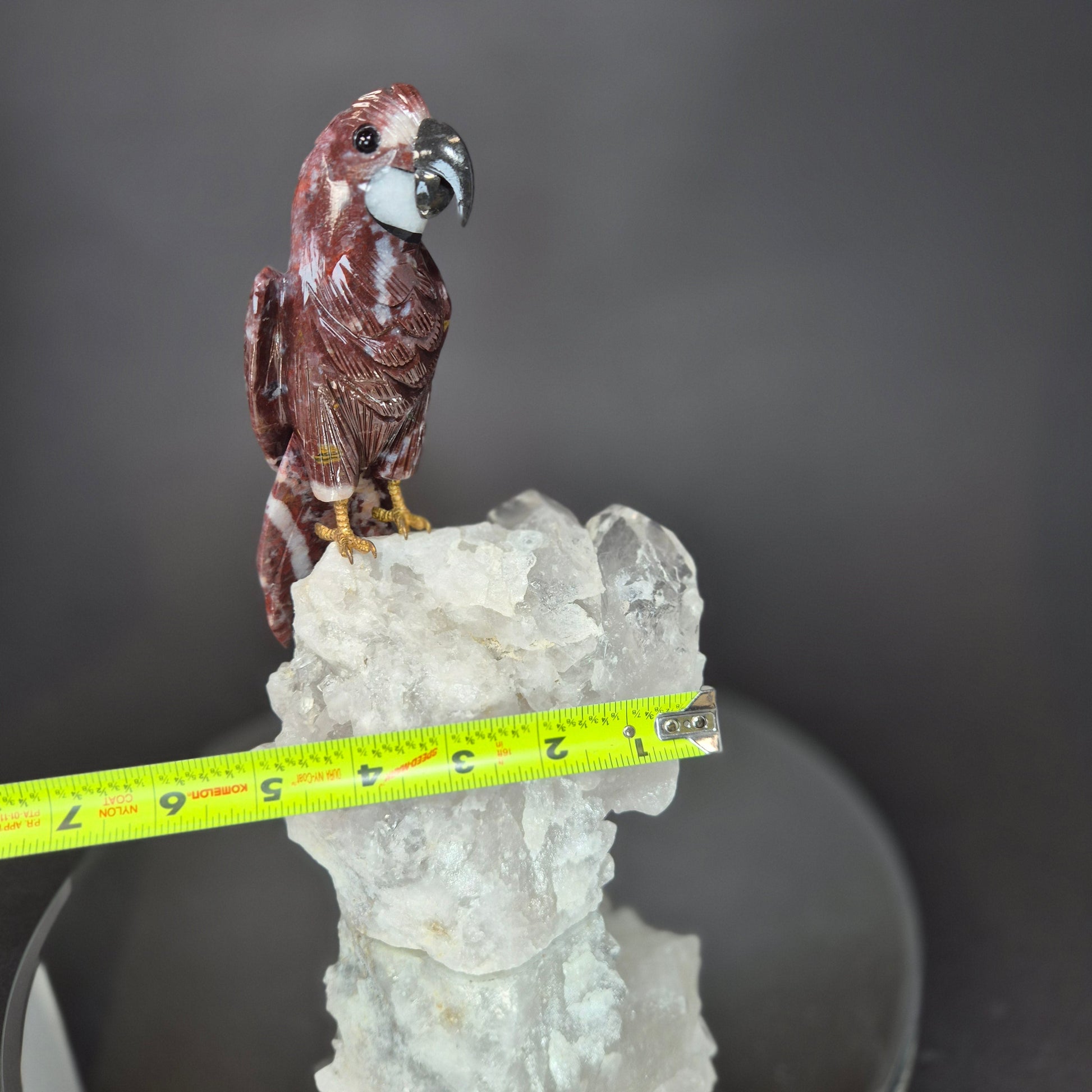 Jasper Parrot on Clear Quartz Cluster Crystal Hoarder