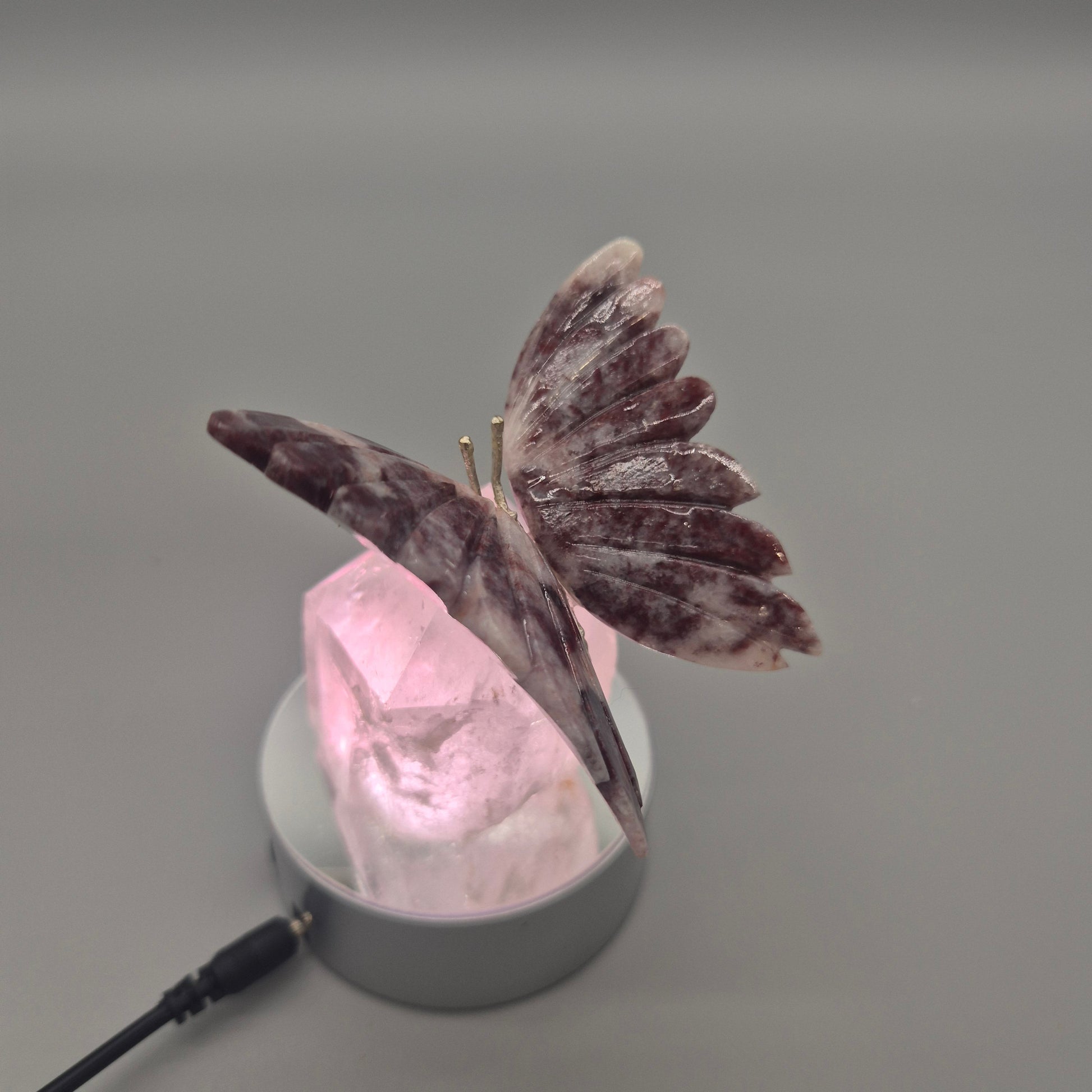 Red & Pink Jasper Butterfly on Clear Quartz Point - Brazil - 4 x 3.5in - 10.45 oz Crystal Hoarder
