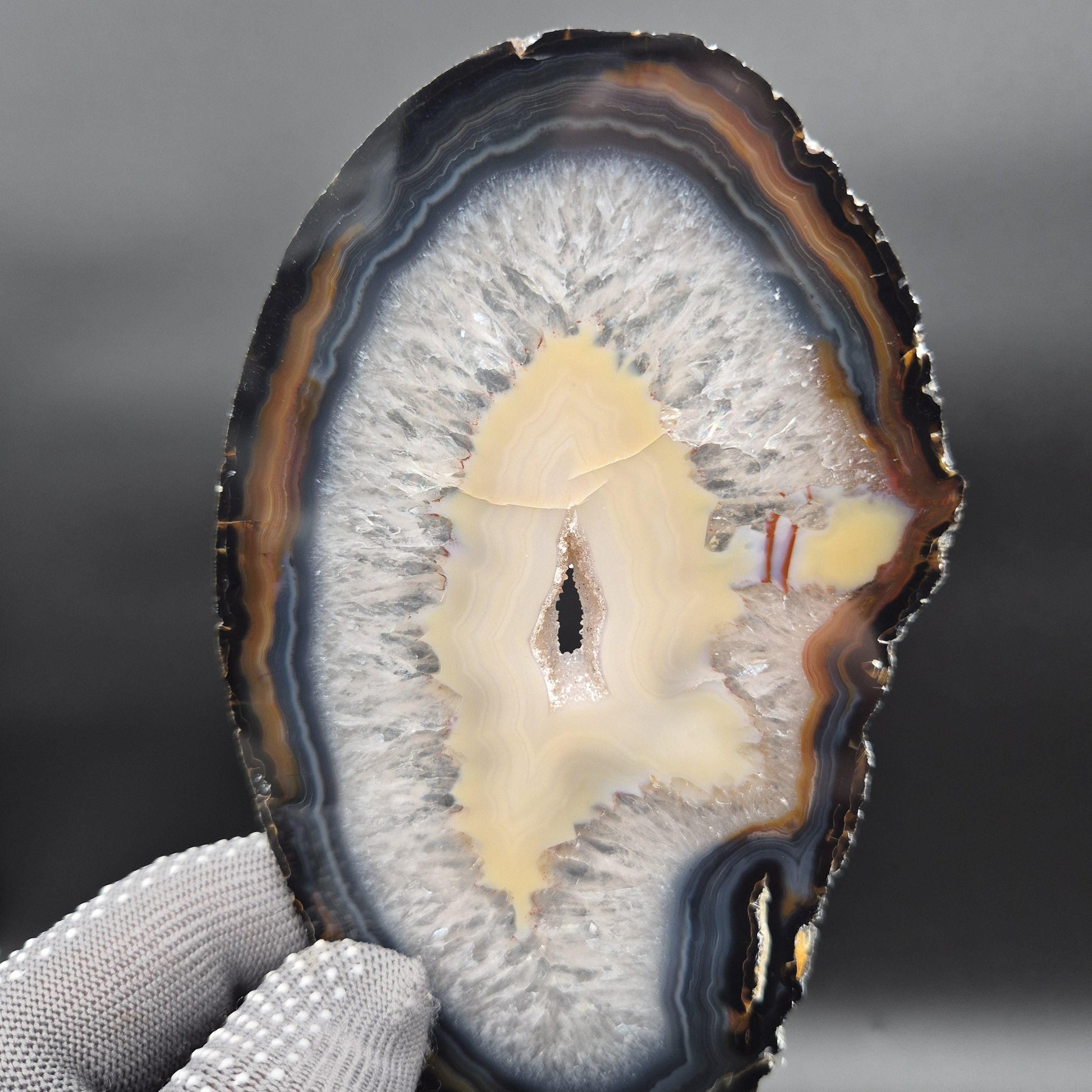 AAA+ Agate Slice Set of 9 | 4-6.5in Large Quartz Crystal Slices | 2.39 lbs Natural Banded Agate | Collector Grade Display Pieces Crystal Hoarder