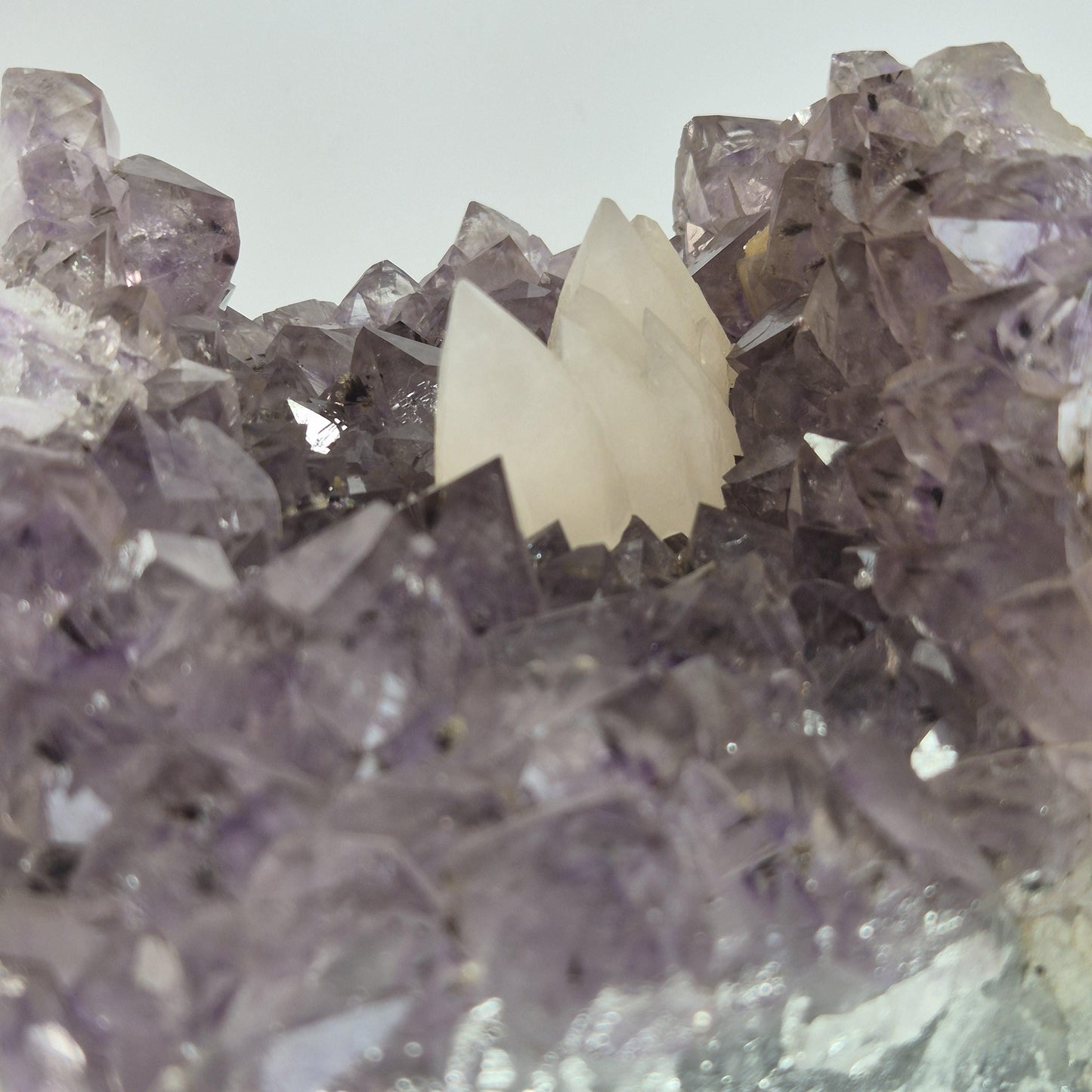 Super Rare White Mountain Calcite Points on Amethyst Cluster with Sugar Calcite Crystal Hoarder