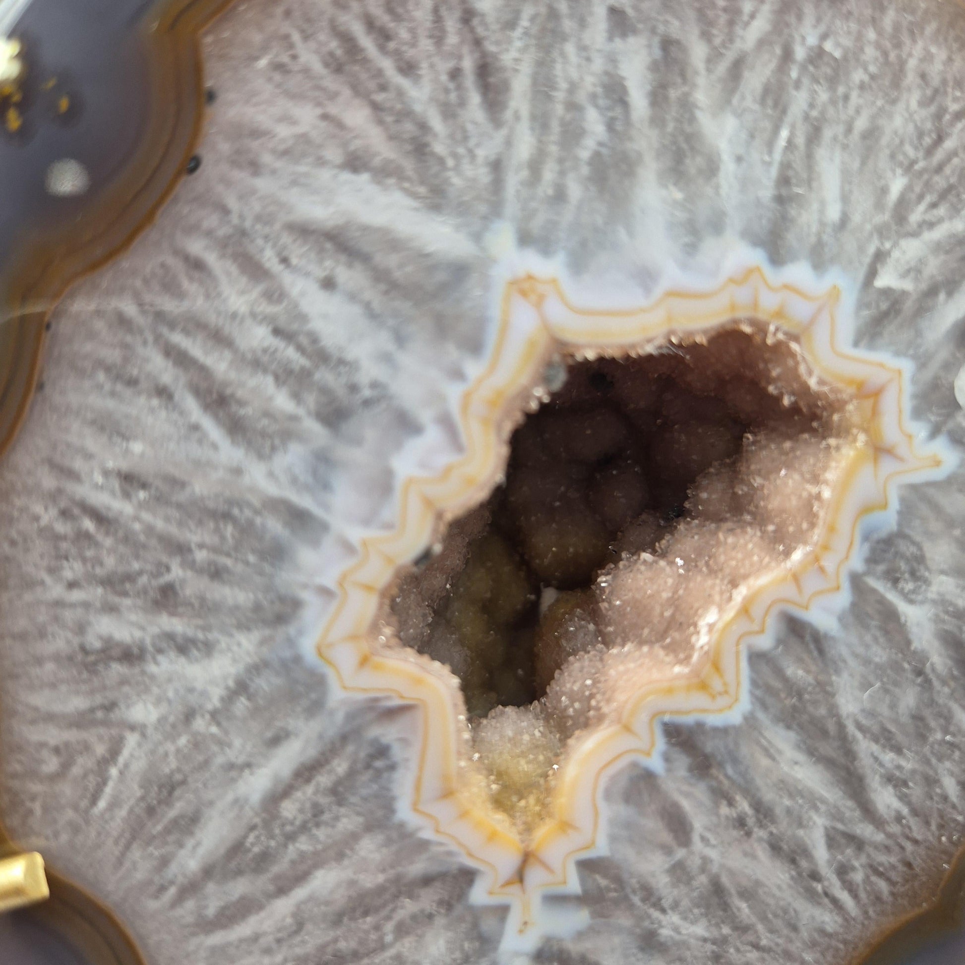 Druzy Agate Geode Butterfly Wings | Natural Brazilian Crystal Pair | 5.26 lb Statement Display Crystal Hoarder