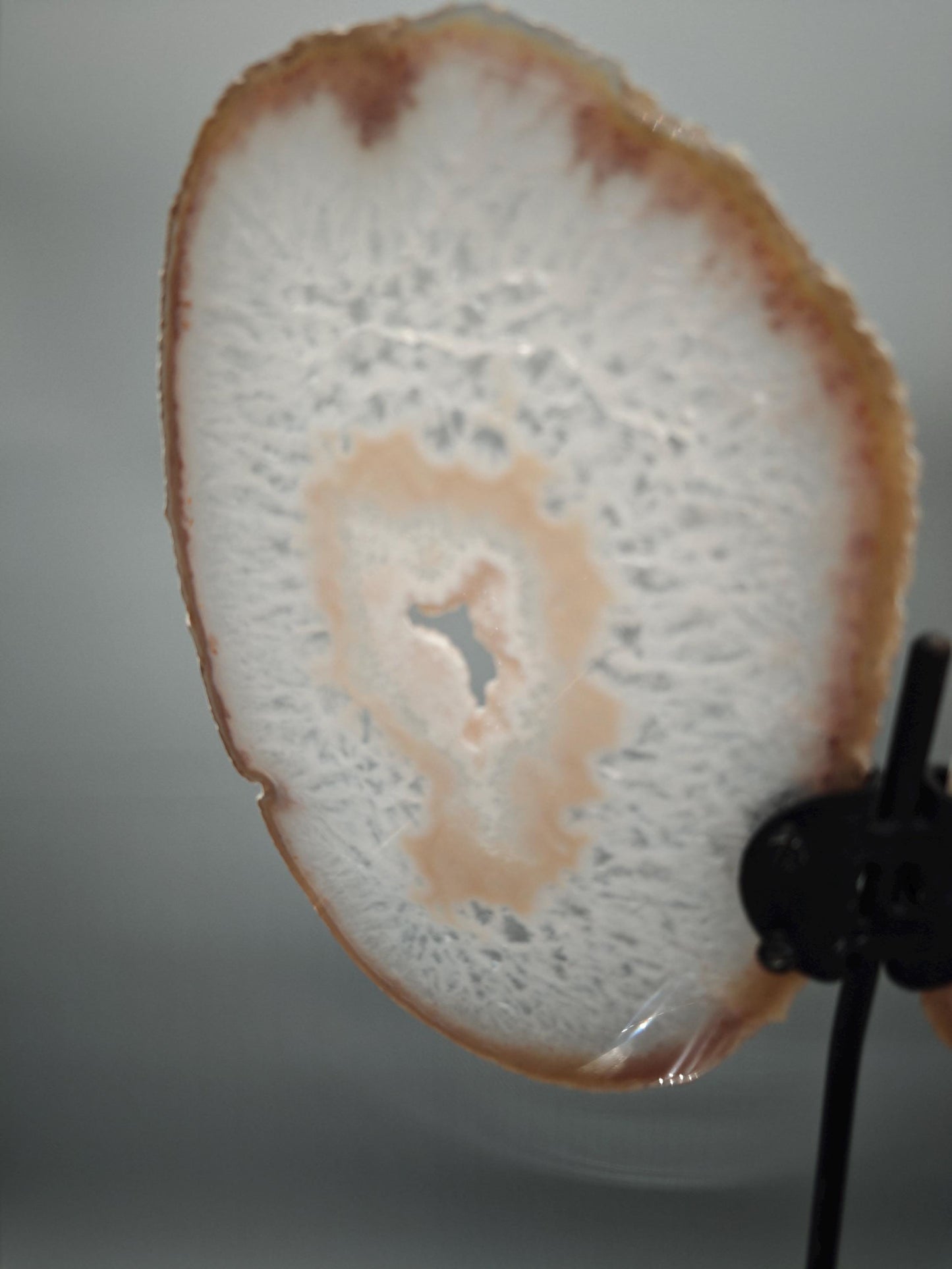 Extra Large Agate Butterfly Wings with Druzy - Backlit Brazilian Agate Display - 18in Crystal Wings Statement Piece - 4.32 lbs Crystal Hoarder