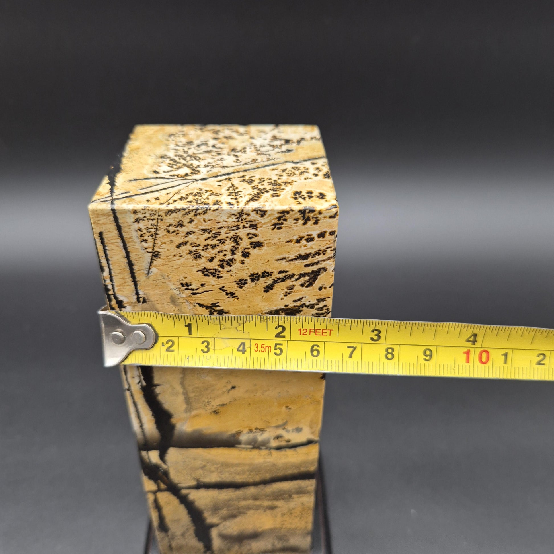 AAA+ Picture Jasper on Wood Base | Natural Scenic Stone Display | 3.16 lbs Crystal Hoarder