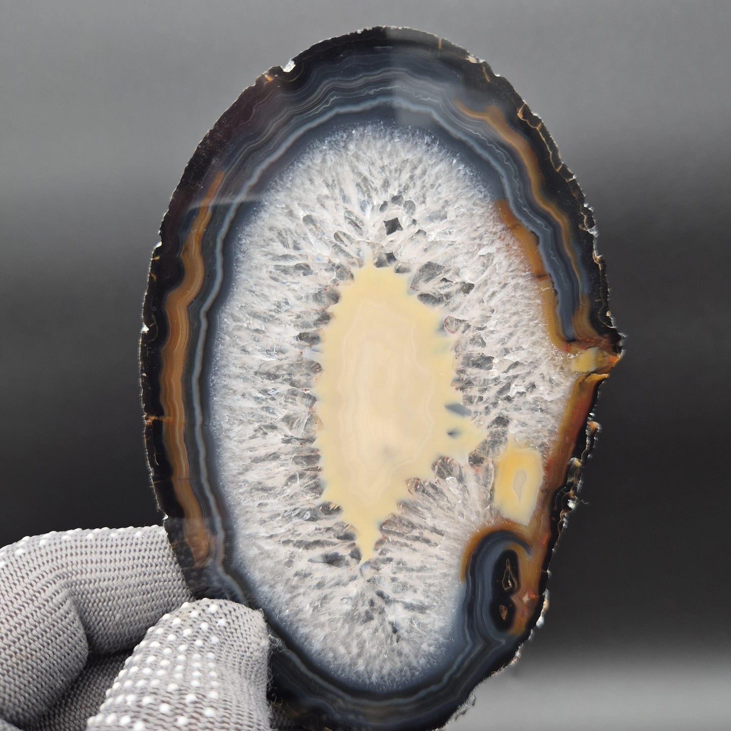 AAA+ Agate Slice Set of 9 | 4-6.5in Large Quartz Crystal Slices | 2.39 lbs Natural Banded Agate | Collector Grade Display Pieces Crystal Hoarder