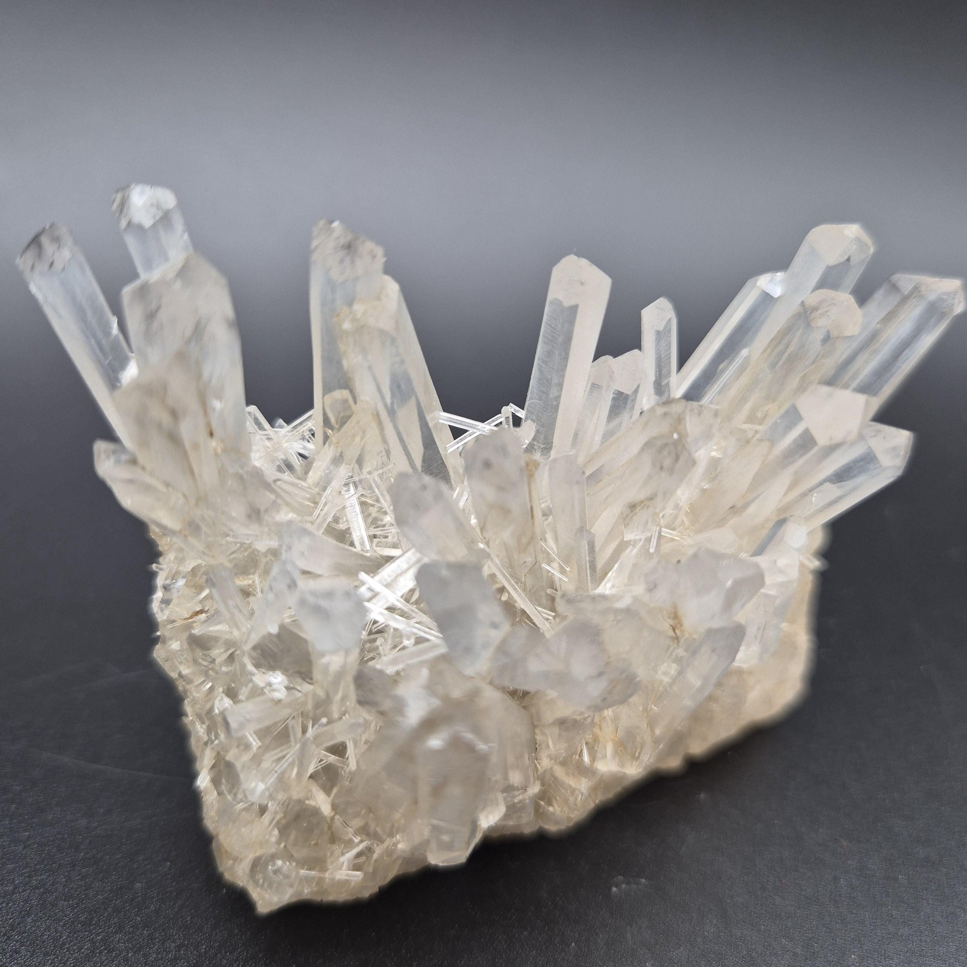 Rare AAA+ Temple Heart Starburst DOW Chrysanthemum Lemurian Quartz Cluster | Colombia | 9.28 oz Crystal Hoarder