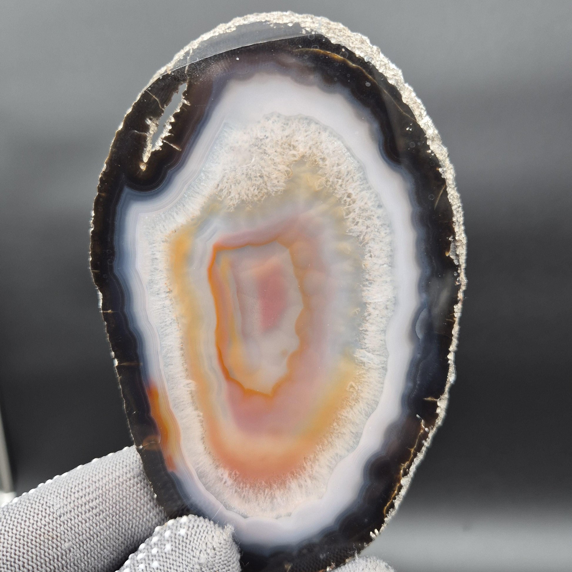 AAA Translucent Agate Slices with Carnelian - Set of 3 | 4.5in–5.5in Natural Druzy Quartz | 0.61 lbs Crystal Hoarder