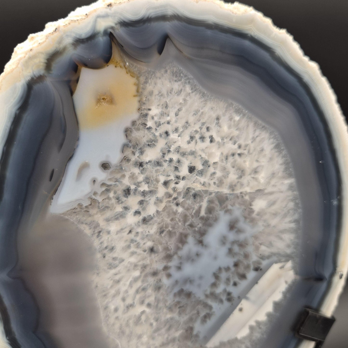 AAA+ Super Rare White and Dark Blue Agate Slice with Quartz Brazil 1.03 lbs Crystal Hoarder