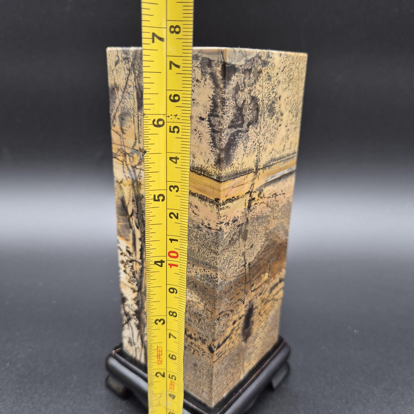 AAA+ Picture Jasper on Wood Base | Natural Scenic Stone Display | 3.37 lbs Crystal Hoarder