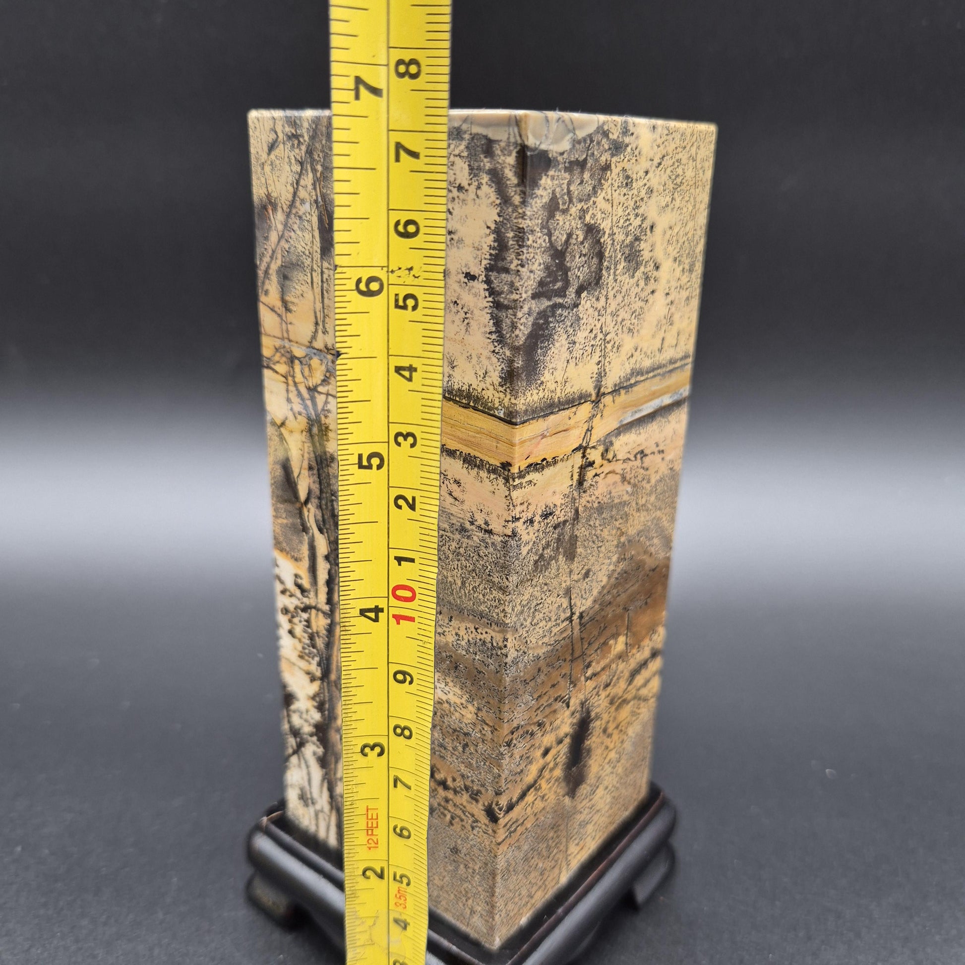 AAA+ Picture Jasper on Wood Base | Natural Scenic Stone Display | 3.37 lbs Crystal Hoarder