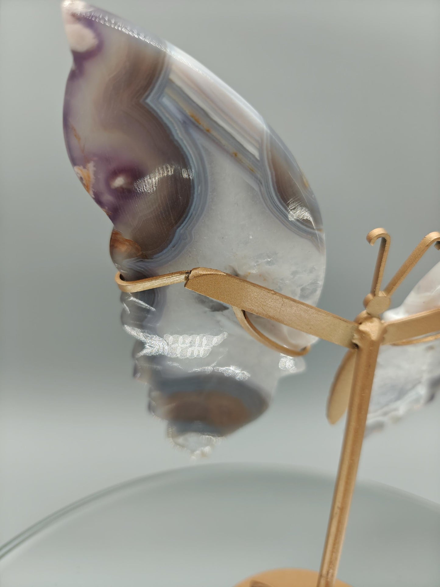 AAA+ Perfect Black Flower Agate Butterfly on Stand - Backlit Display - 8 x 6.5in - 12.45 oz - Unique Crystal Decor Crystal Hoarder