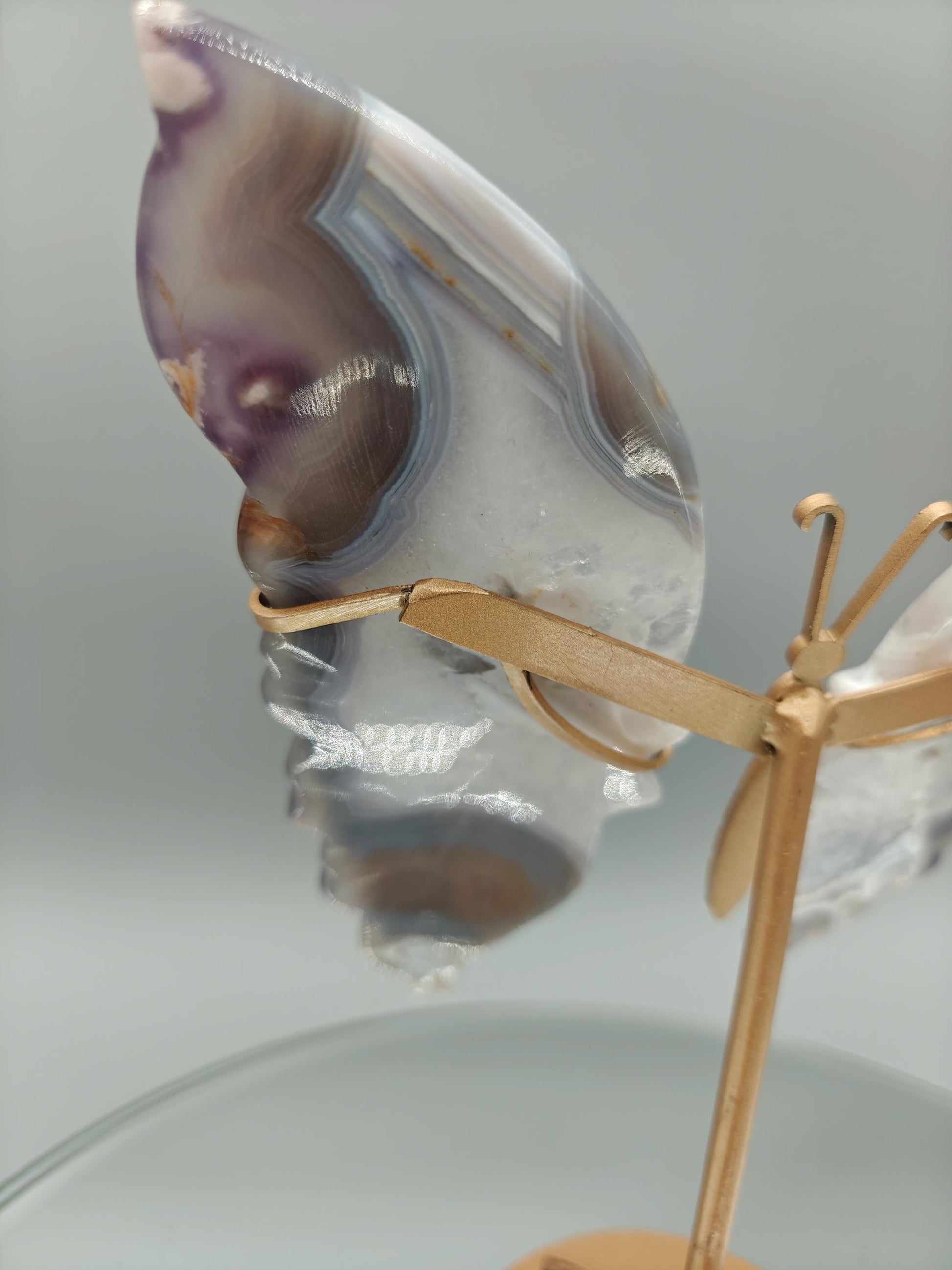 AAA+ Perfect Black Flower Agate Butterfly on Stand - Backlit Display - 8 x 6.5in - 12.45 oz - Unique Crystal Decor Crystal Hoarder
