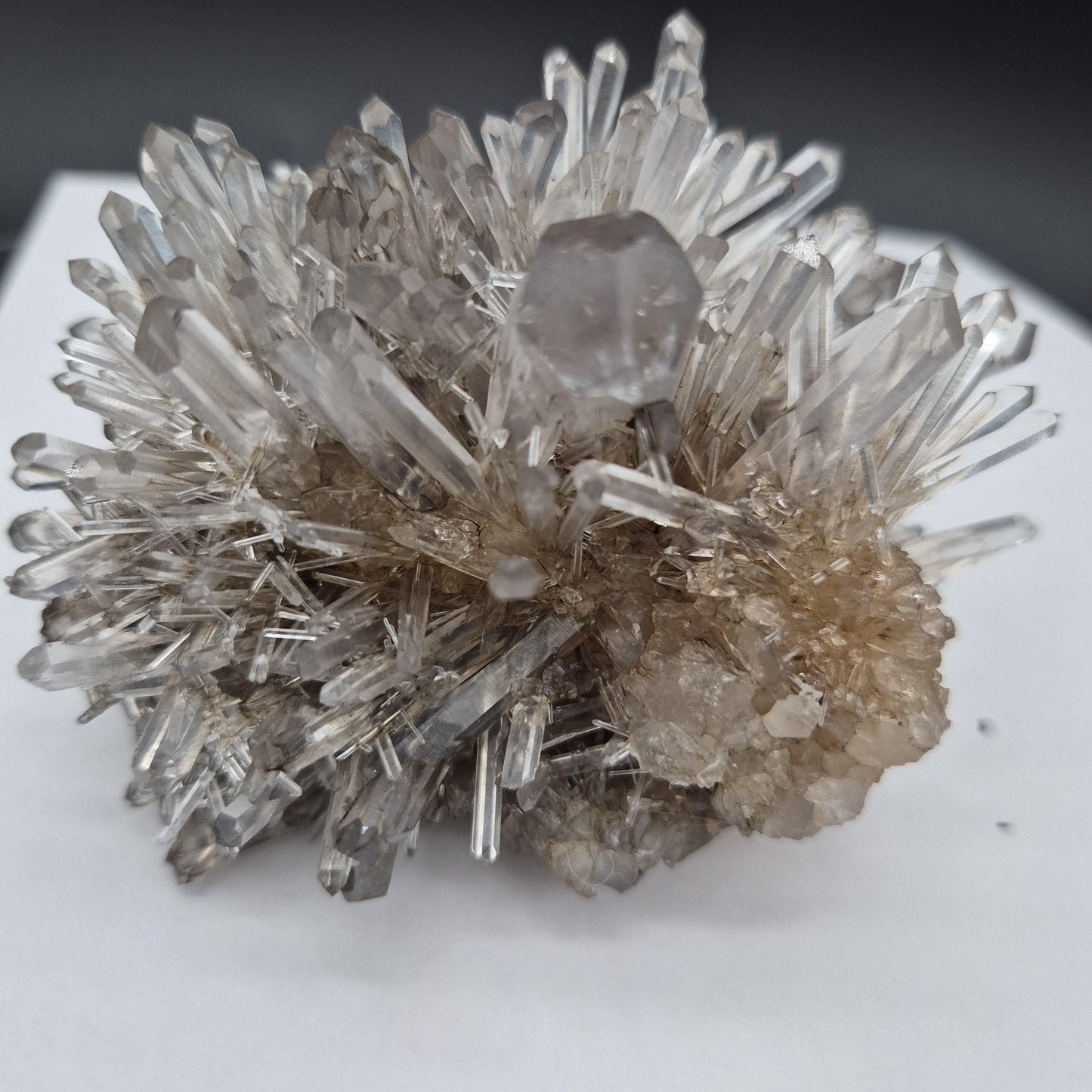 Rare AAA+ Temple Heart Starburst DOW Chrysanthemum Lemurian Quartz Cluster | Bolivar Mine Colombia | 1.28 lbs Crystal Hoarder