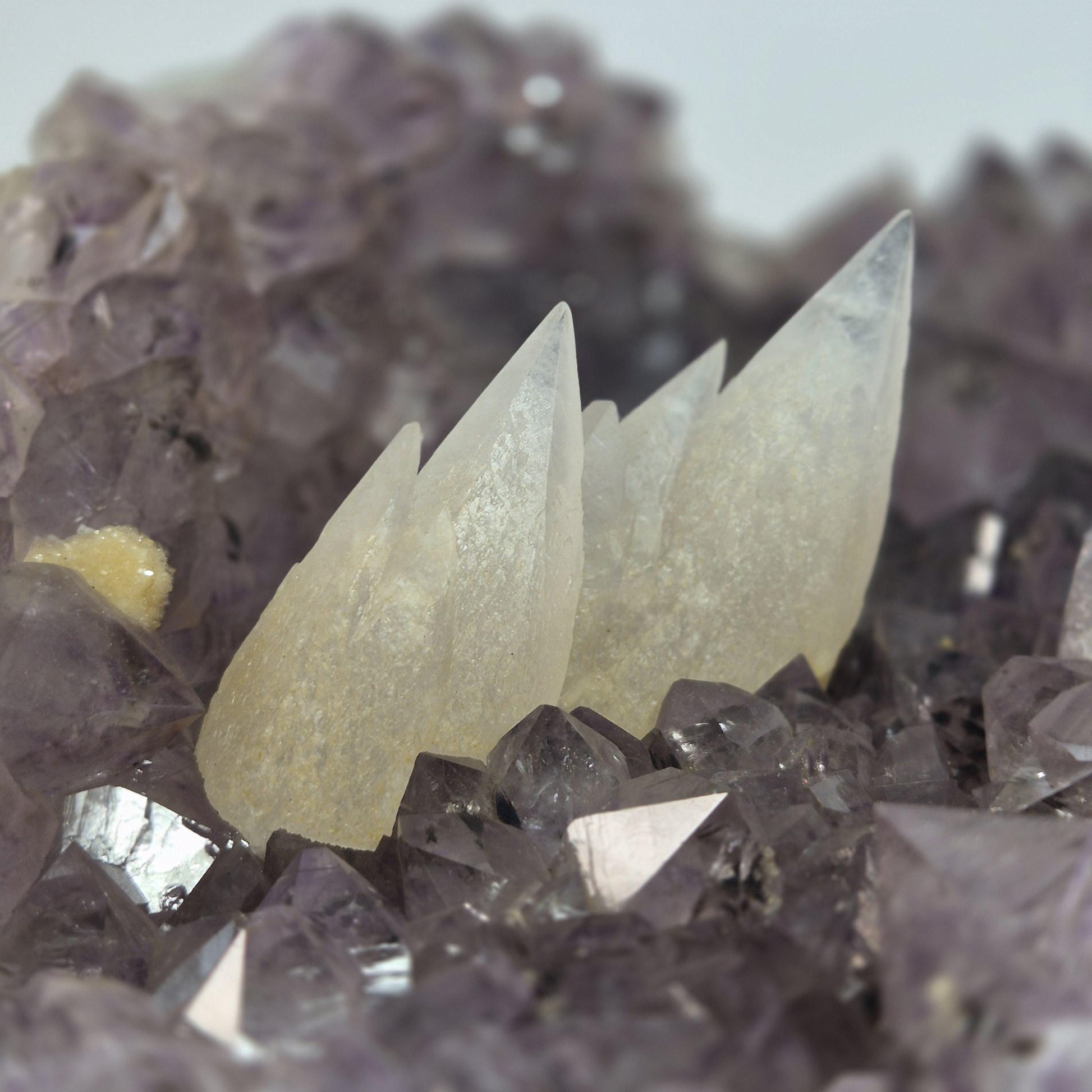 Super Rare White Mountain Calcite Points on Amethyst Cluster with Sugar Calcite Crystal Hoarder