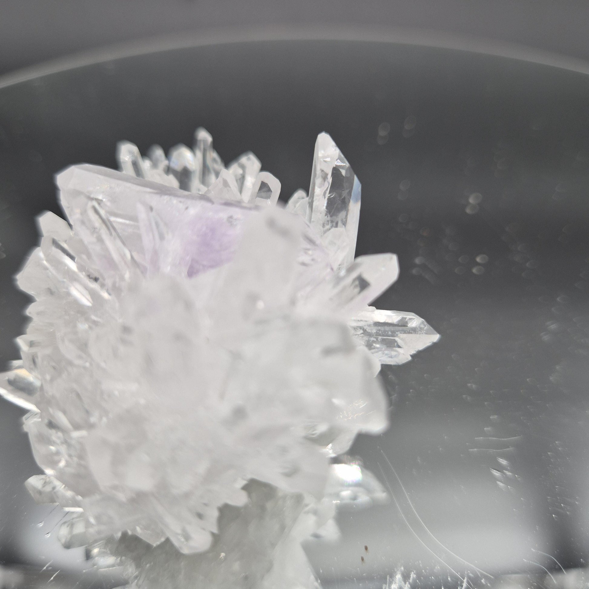 Rare AAA+ Double Terminated Phantom Amethyst Chrysanthemum Crystal Cluster | Natural Quartz Specimen | 4 oz Crystal Hoarder