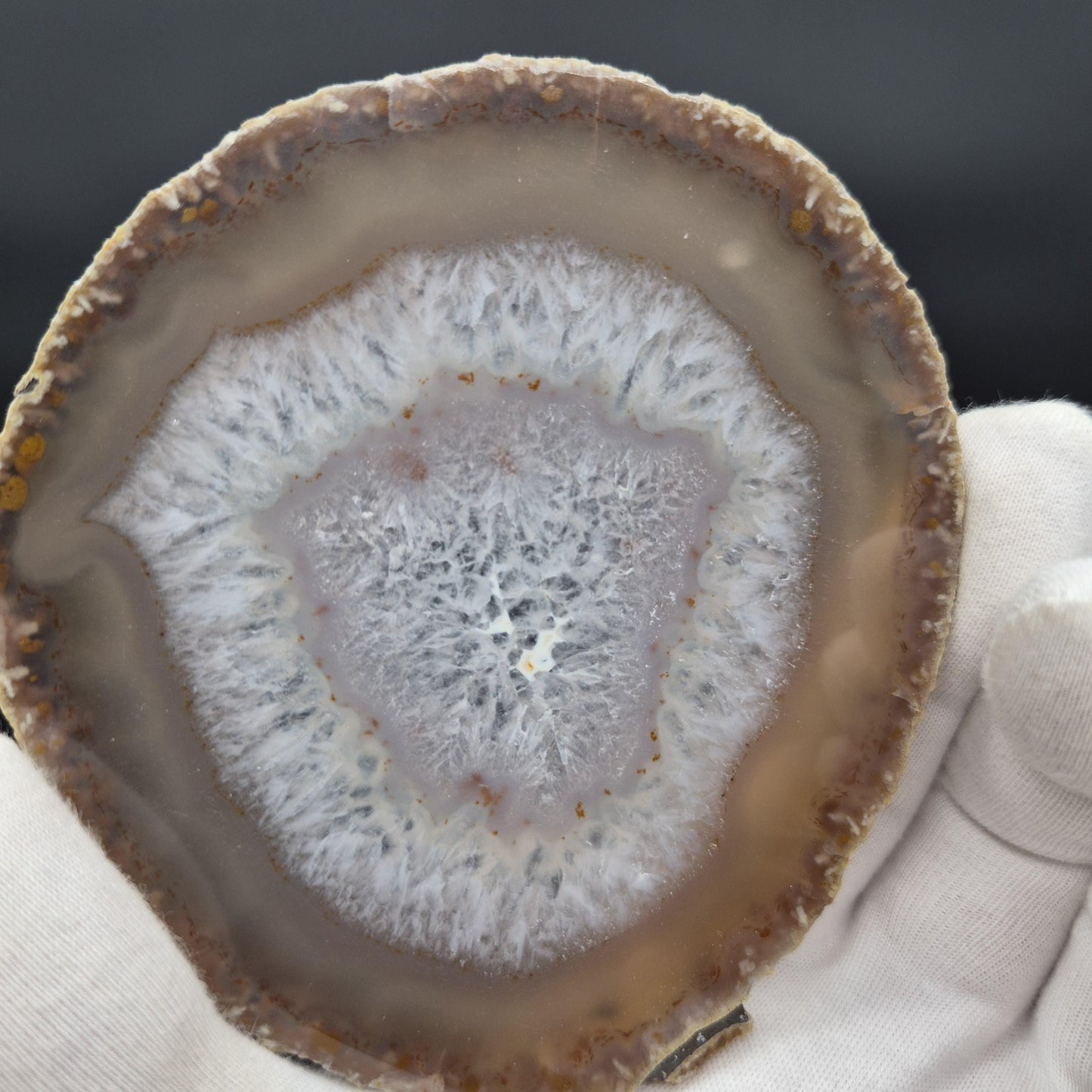Set of 10 Agate Slices with Quartz | 2.43 lbs Total | 4in Natural Crystal Slices | Polished Gemstone Decor | Collector Grade Display Pieces Crystal Hoarder