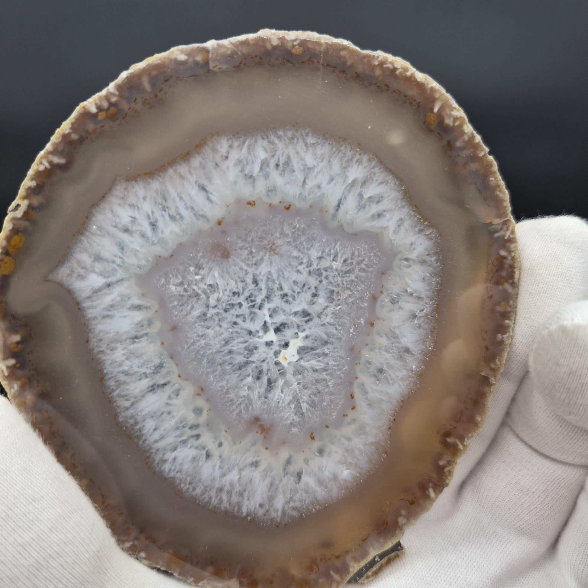 Set of 10 Agate Slices with Quartz | 2.43 lbs Total | 4in Natural Crystal Slices | Polished Gemstone Decor | Collector Grade Display Pieces Crystal Hoarder