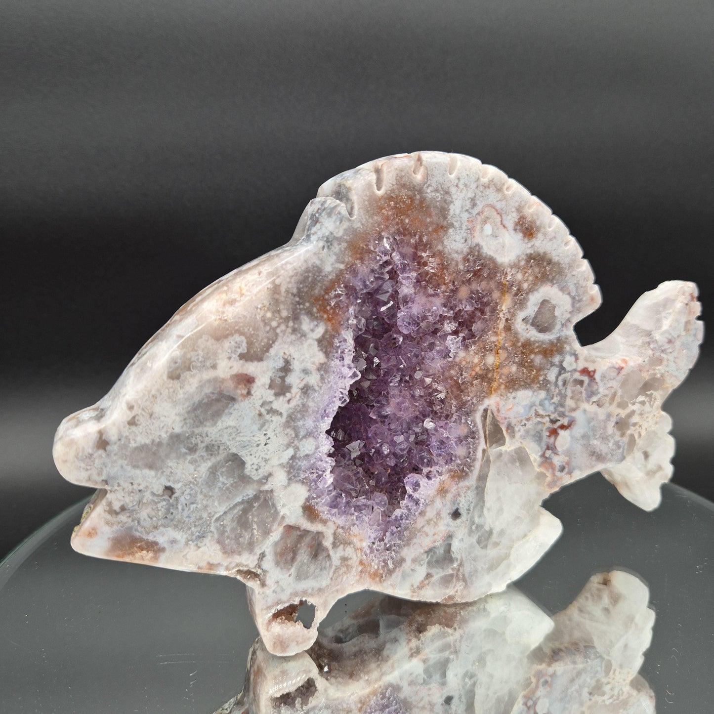 AAA+ Pink and Purple Amethyst Fish Polished Brazil - 8.5x5.5x1 - 2.89 lbs Crystal Hoarder