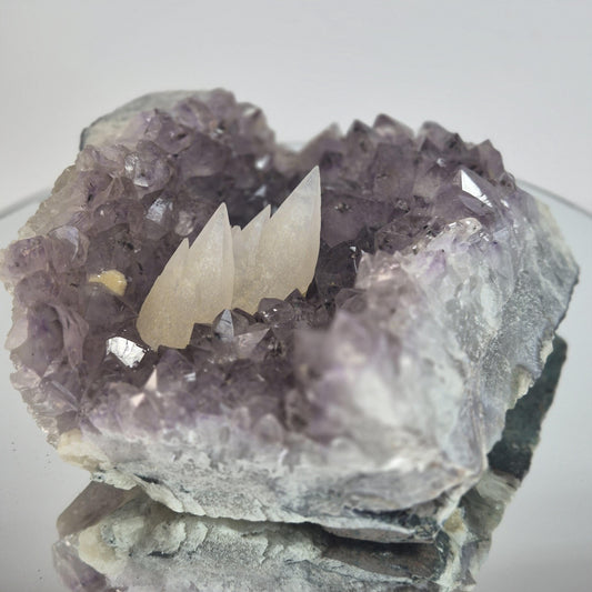 Super Rare White Mountain Calcite Points on Amethyst Cluster with Sugar Calcite Crystal Hoarder