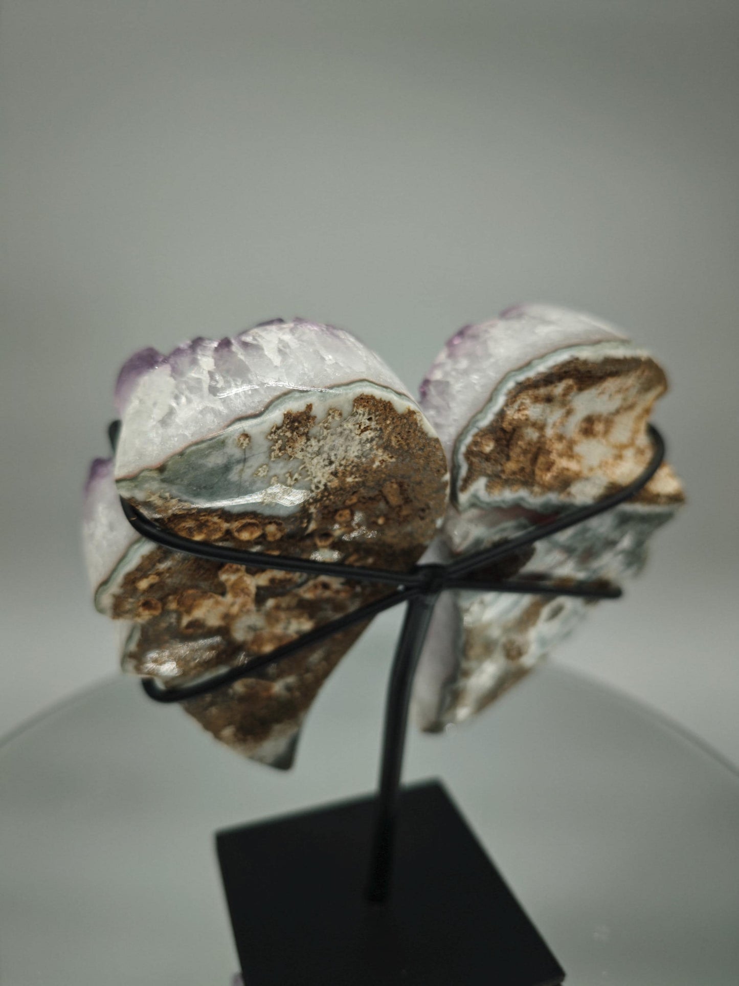 AAA+ Amethyst Angel Wings - Large Crystal Points - Brazilian Amethyst Display - 7in Tall Natural Crystal - 2.42 lbs Crystal Hoarder