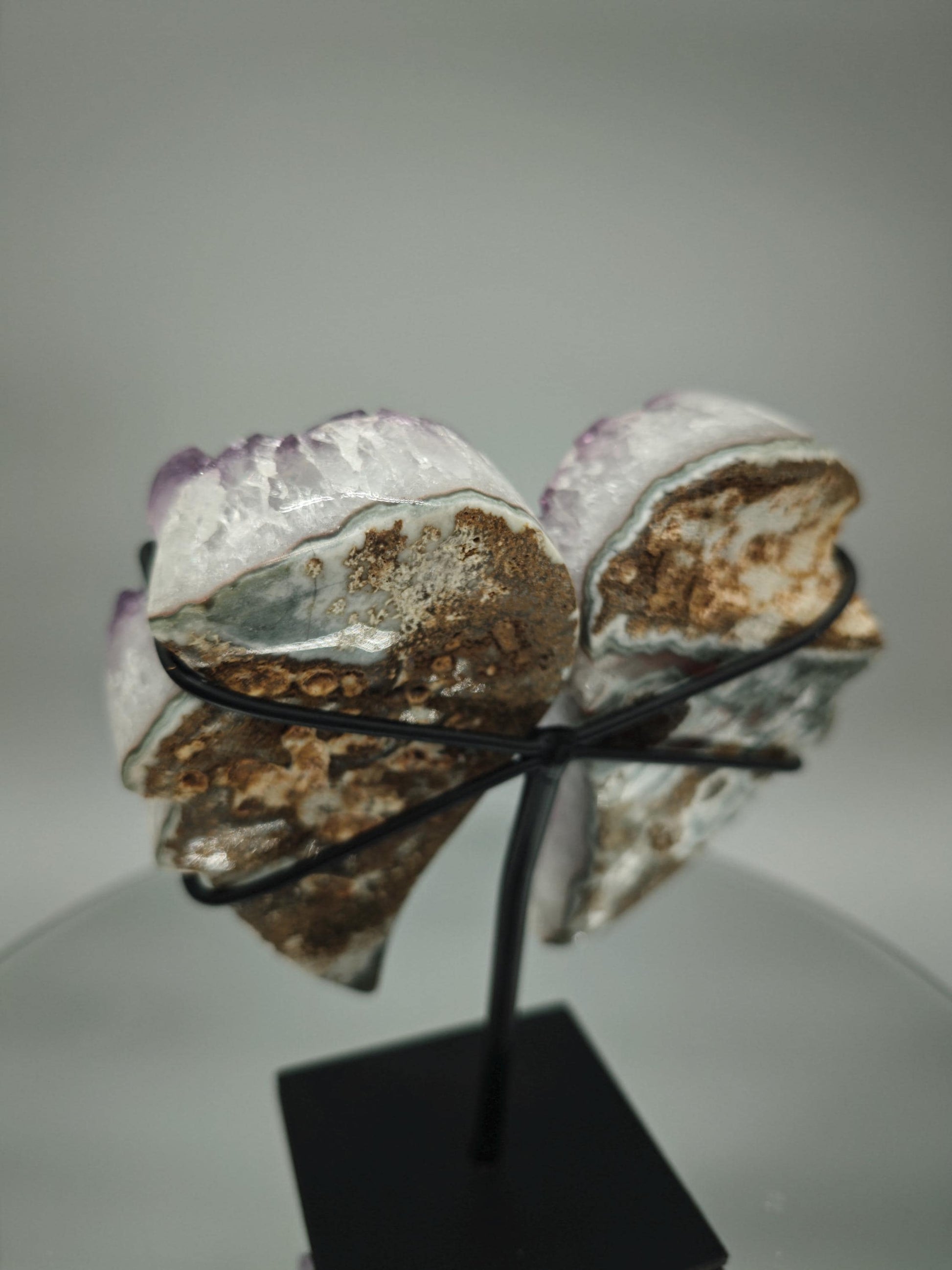 AAA+ Amethyst Angel Wings - Large Crystal Points - Brazilian Amethyst Display - 7in Tall Natural Crystal - 2.42 lbs Crystal Hoarder